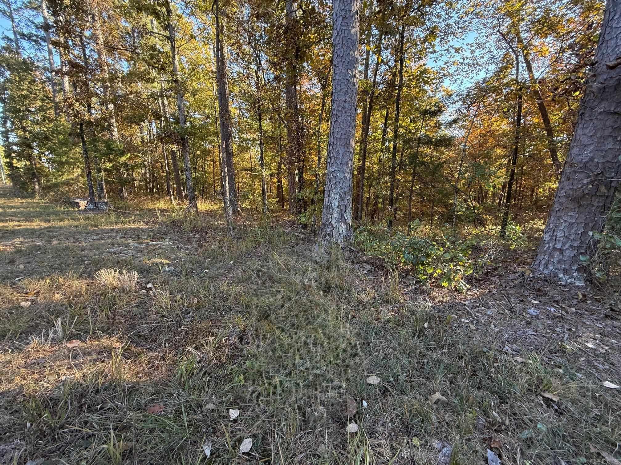 00 DeSoto  Hot Springs Village, AR