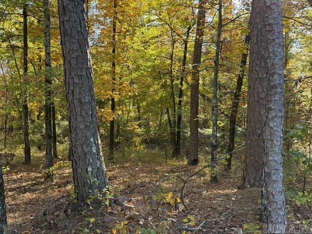 00 DeSoto  Hot Springs Village, AR