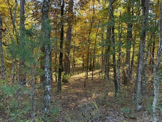 00 DeSoto  Hot Springs Village, AR