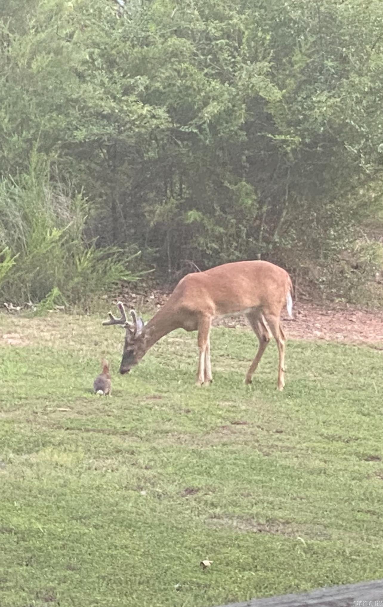 199 Pine Hill Estates Rd. Higden, AR 72067