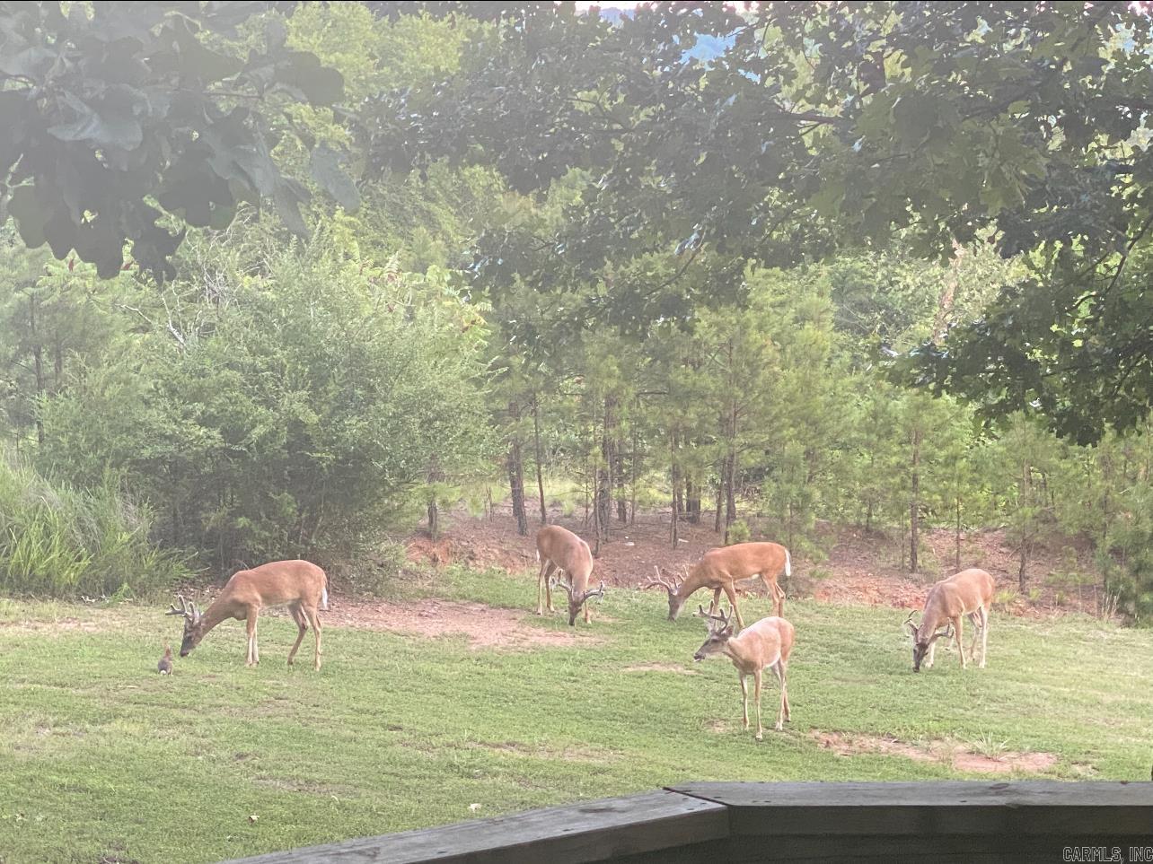 199 Pine Hill Estates Rd. Higden, AR 72067