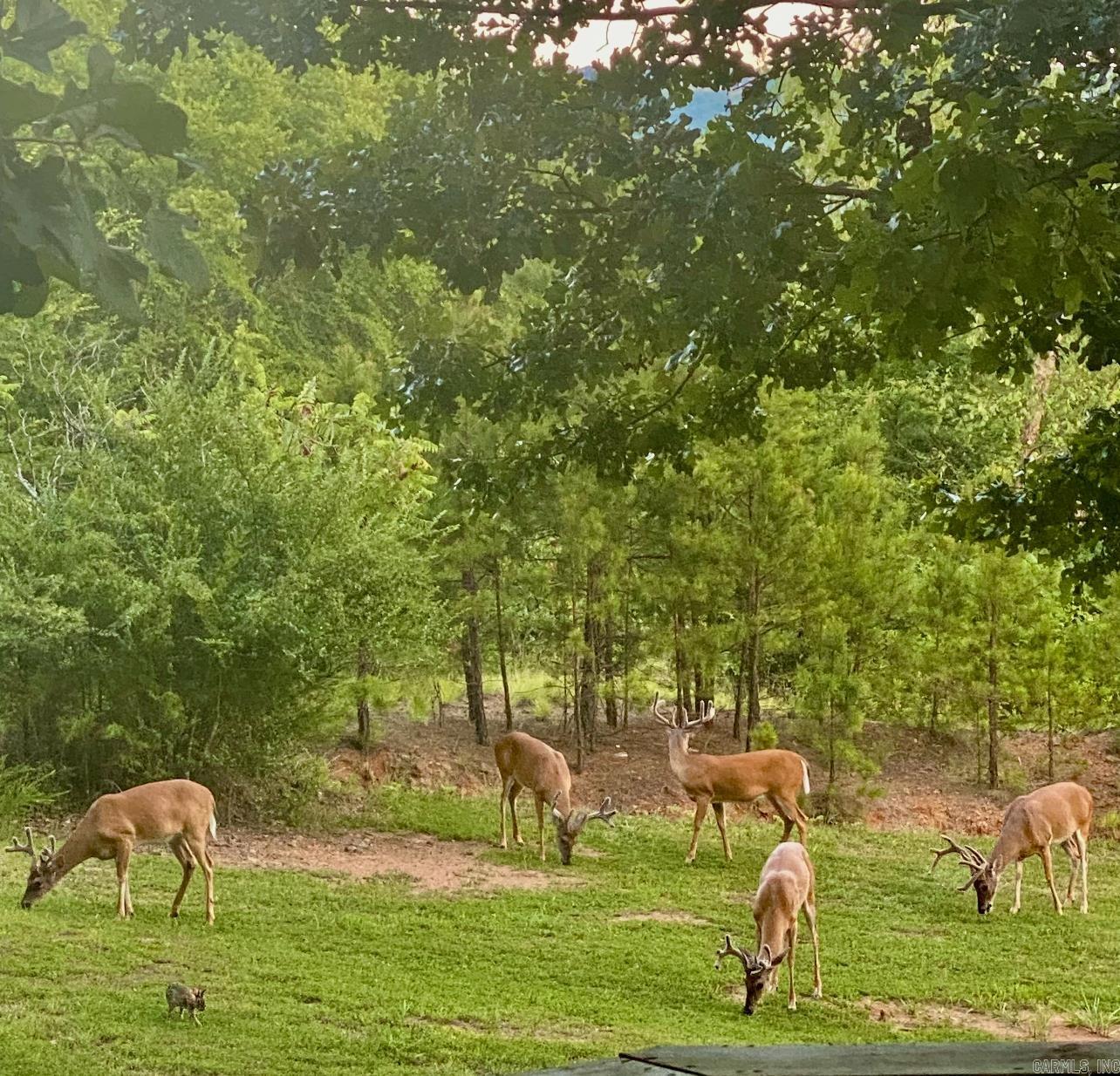 199 Pine Hill Estates Rd. Higden, AR 72067