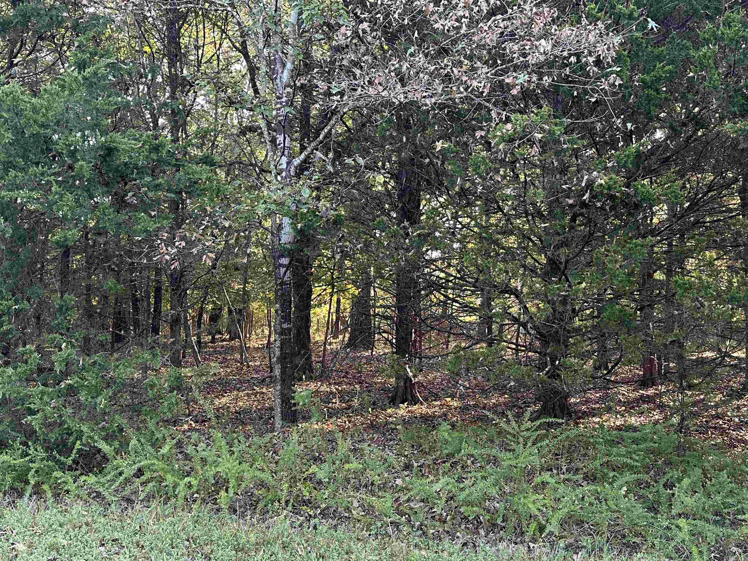 001 Hand Cove Road  Elizabeth, AR