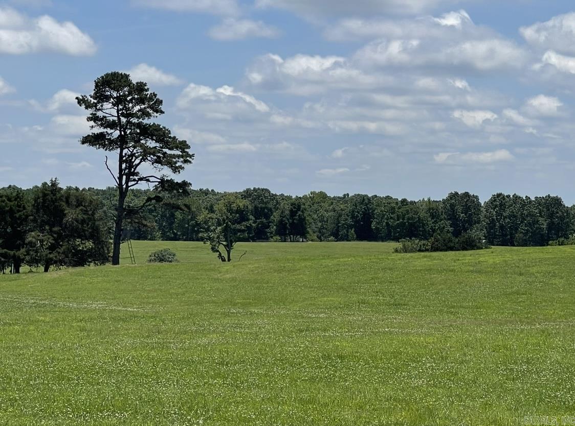 000 Orchard  Greenbrier, AR