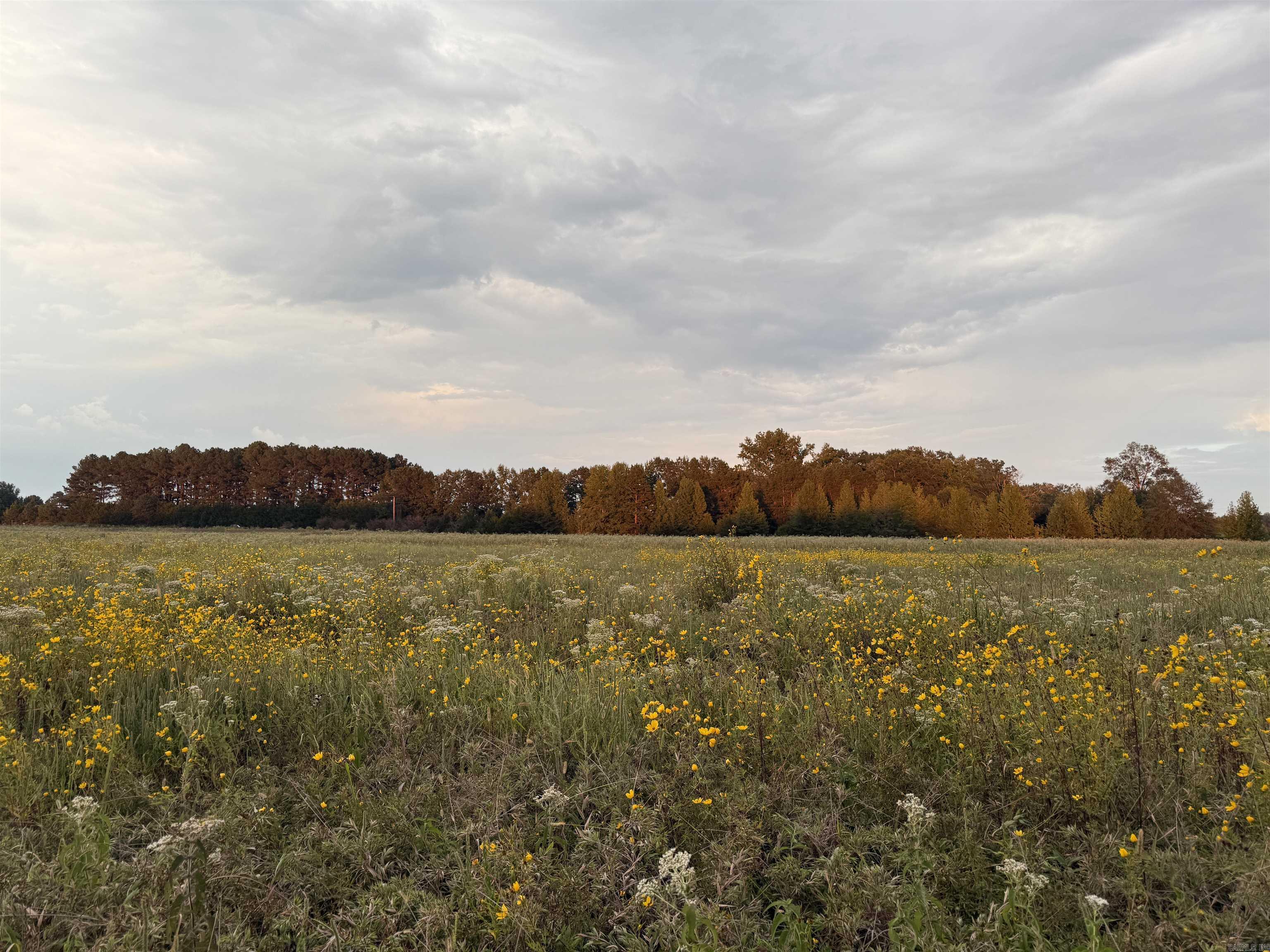 000 Gillham Rd.  Beebe, AR