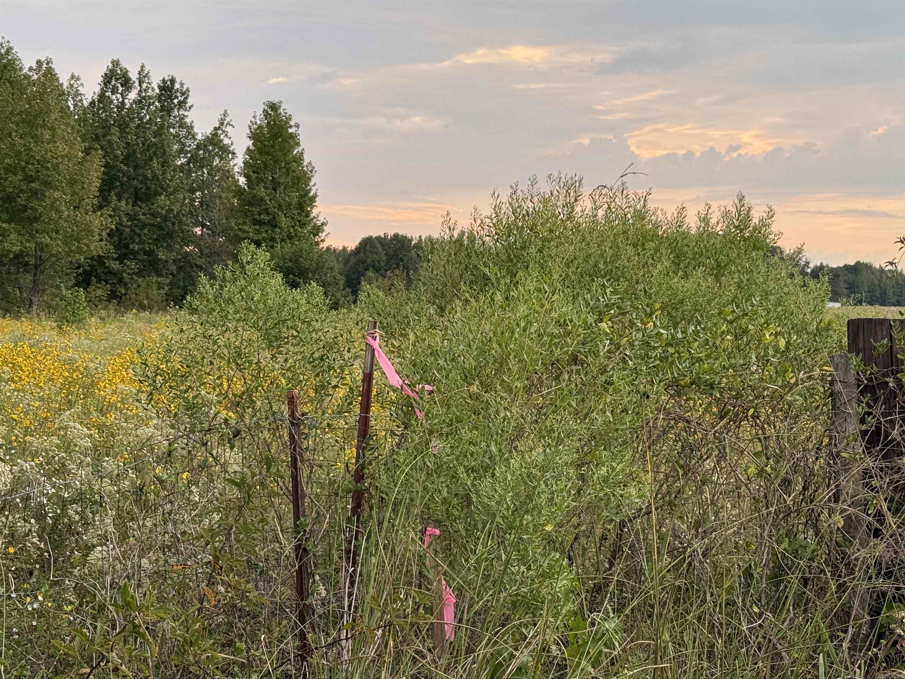 000 Gillham Rd.  Beebe, AR