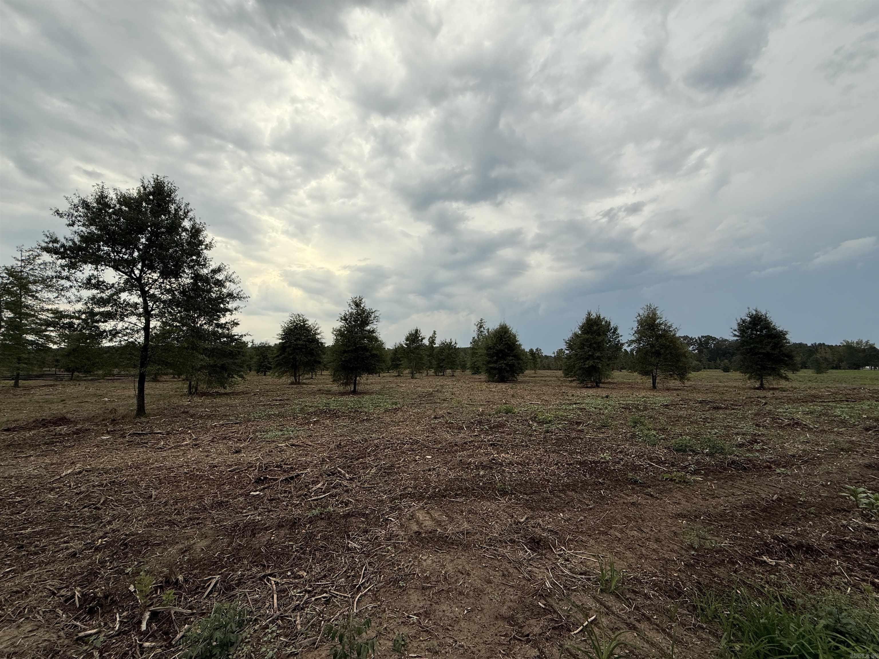 000 Hwy. 13  McRae, AR