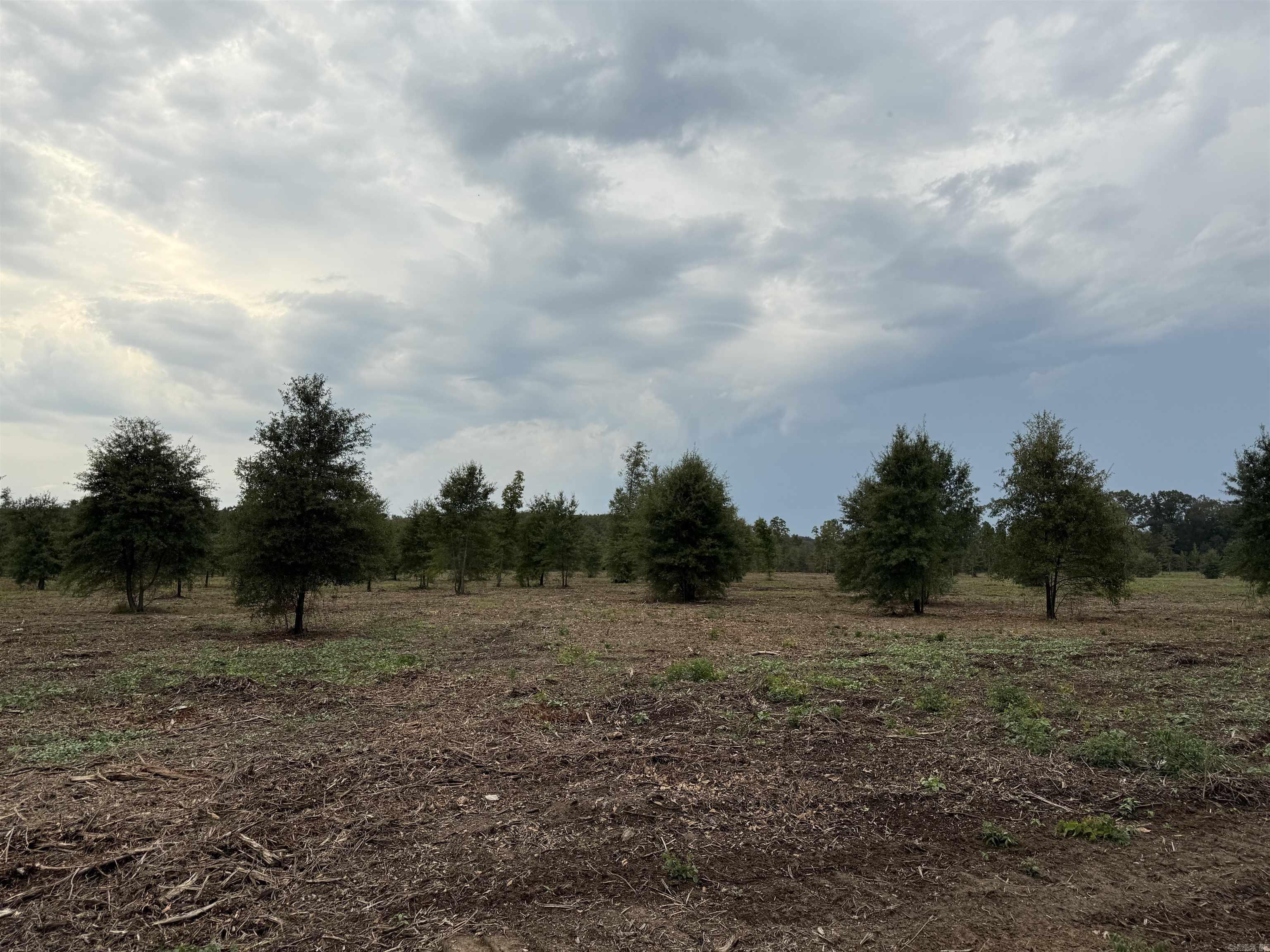 000 Hwy. 13  McRae, AR