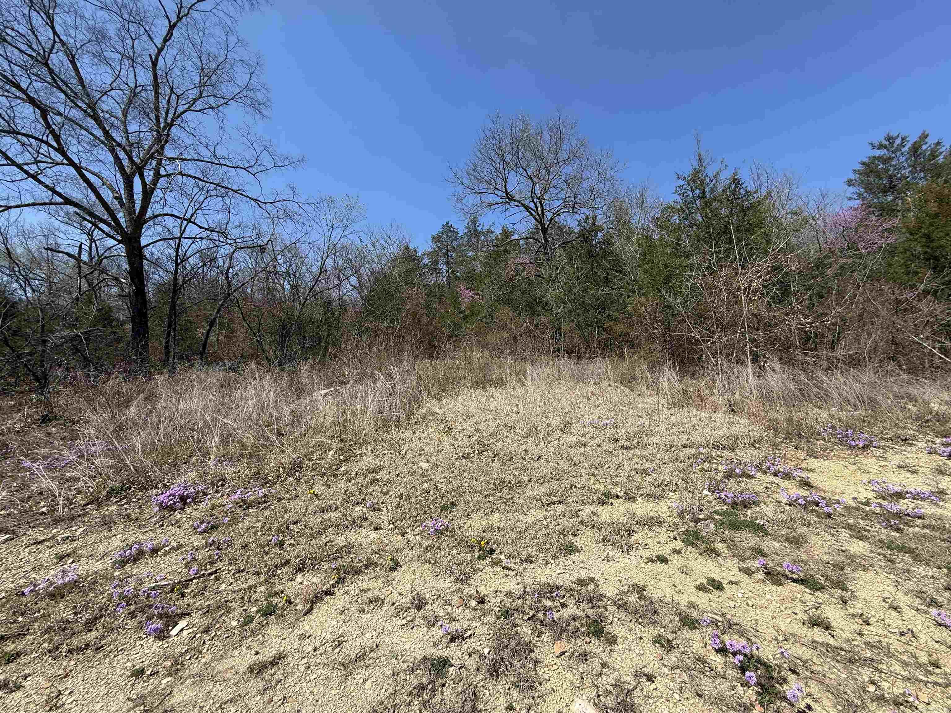 109 CR 227  Calico Rock, AR