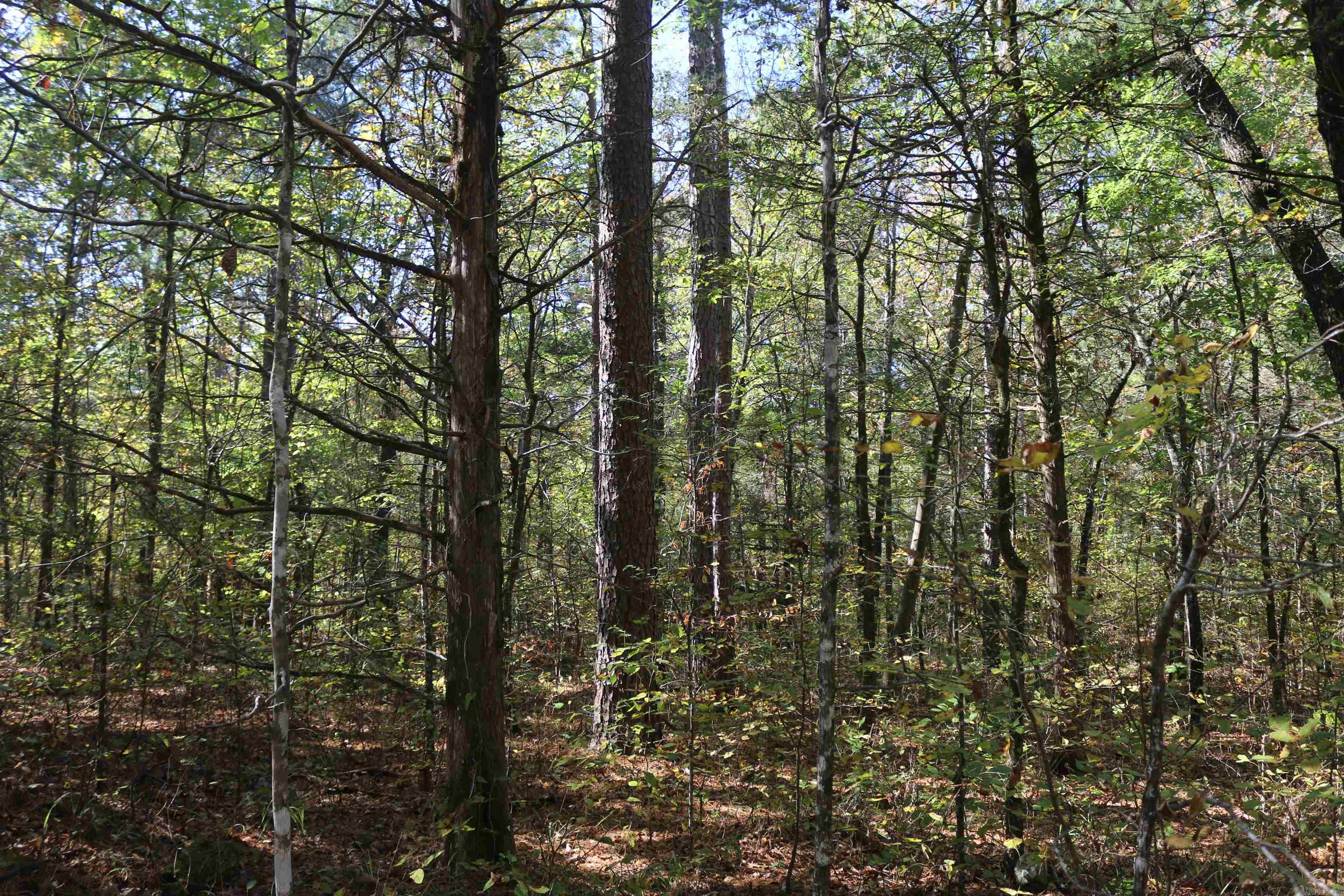 000 Bell Lane  Boles, AR