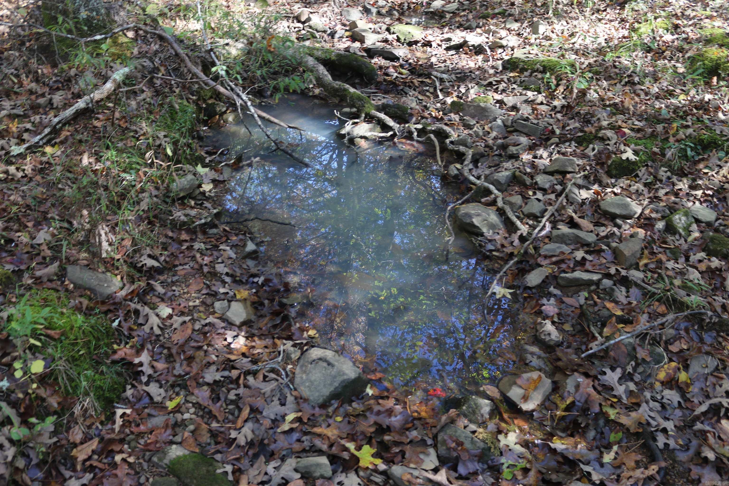 000 Bell Lane  Boles, AR