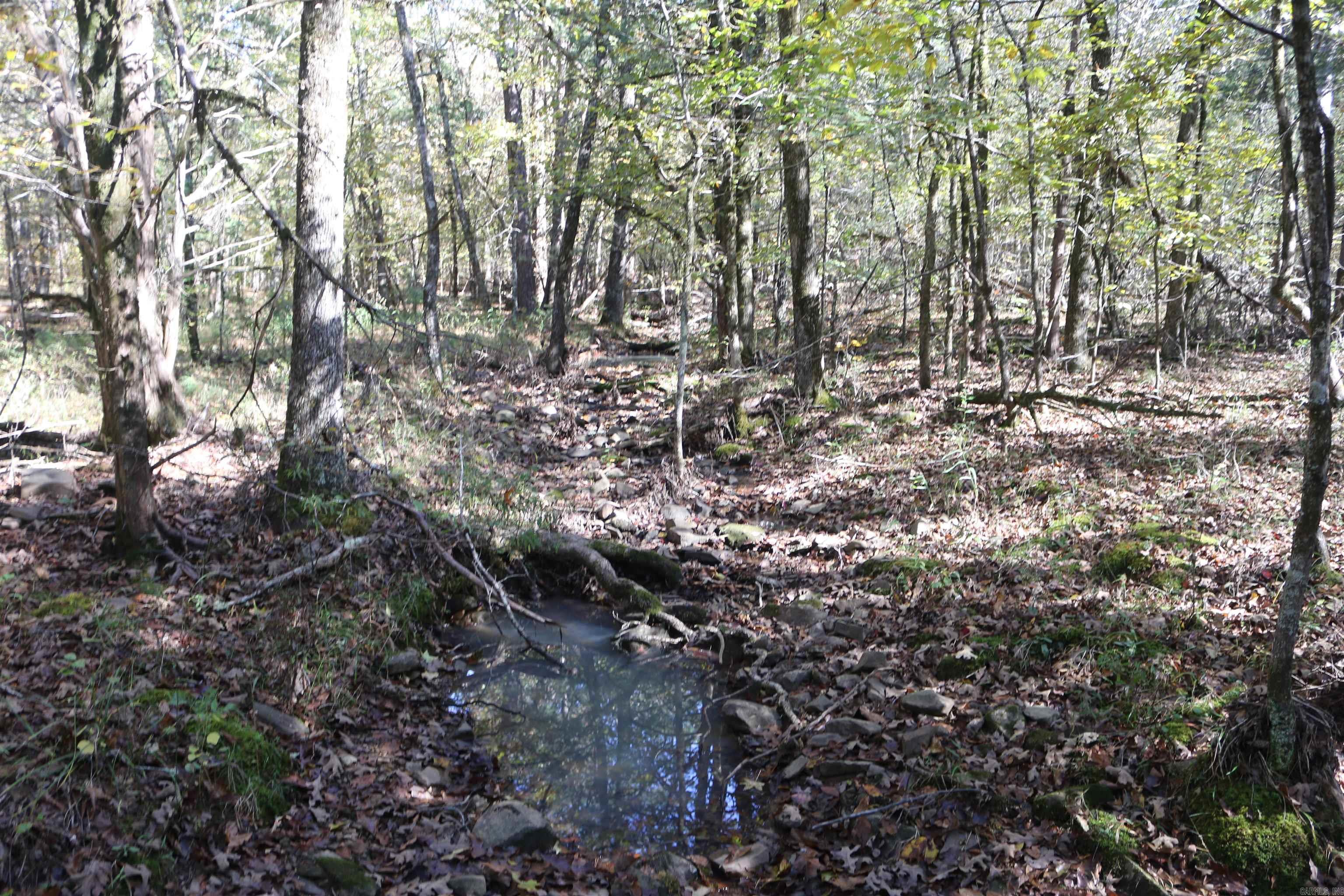 000 Bell Lane  Boles, AR