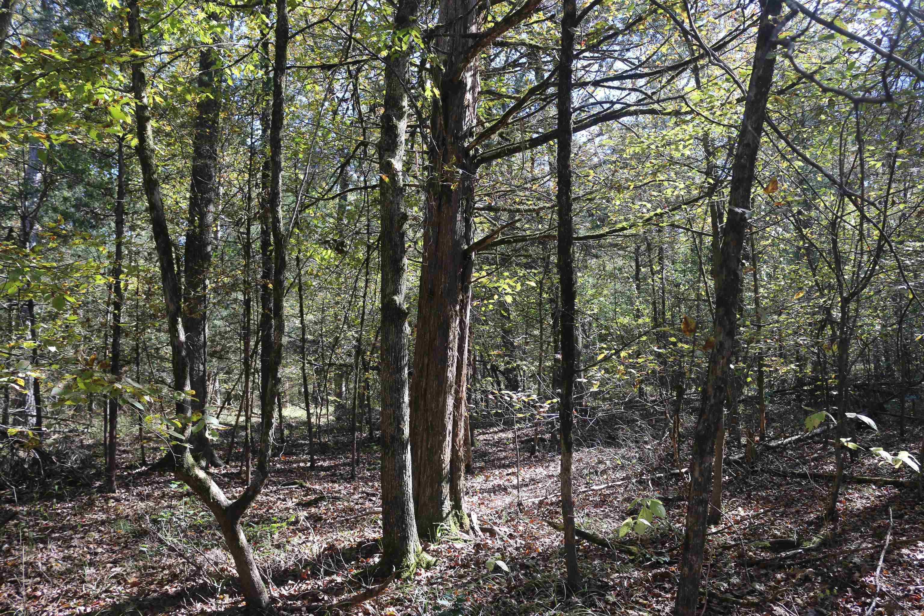 000 Bell Lane  Boles, AR