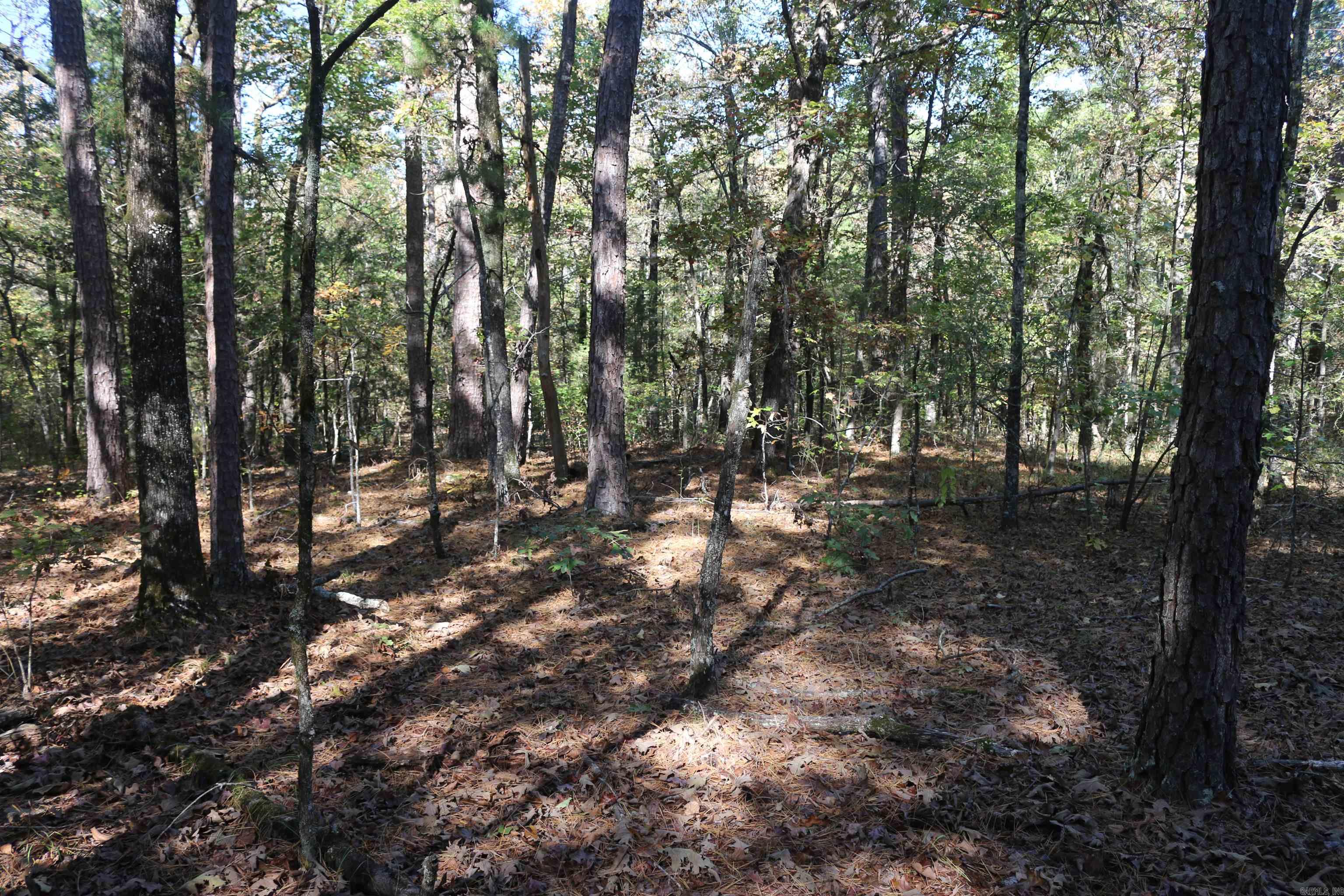 000 Bell Lane  Boles, AR