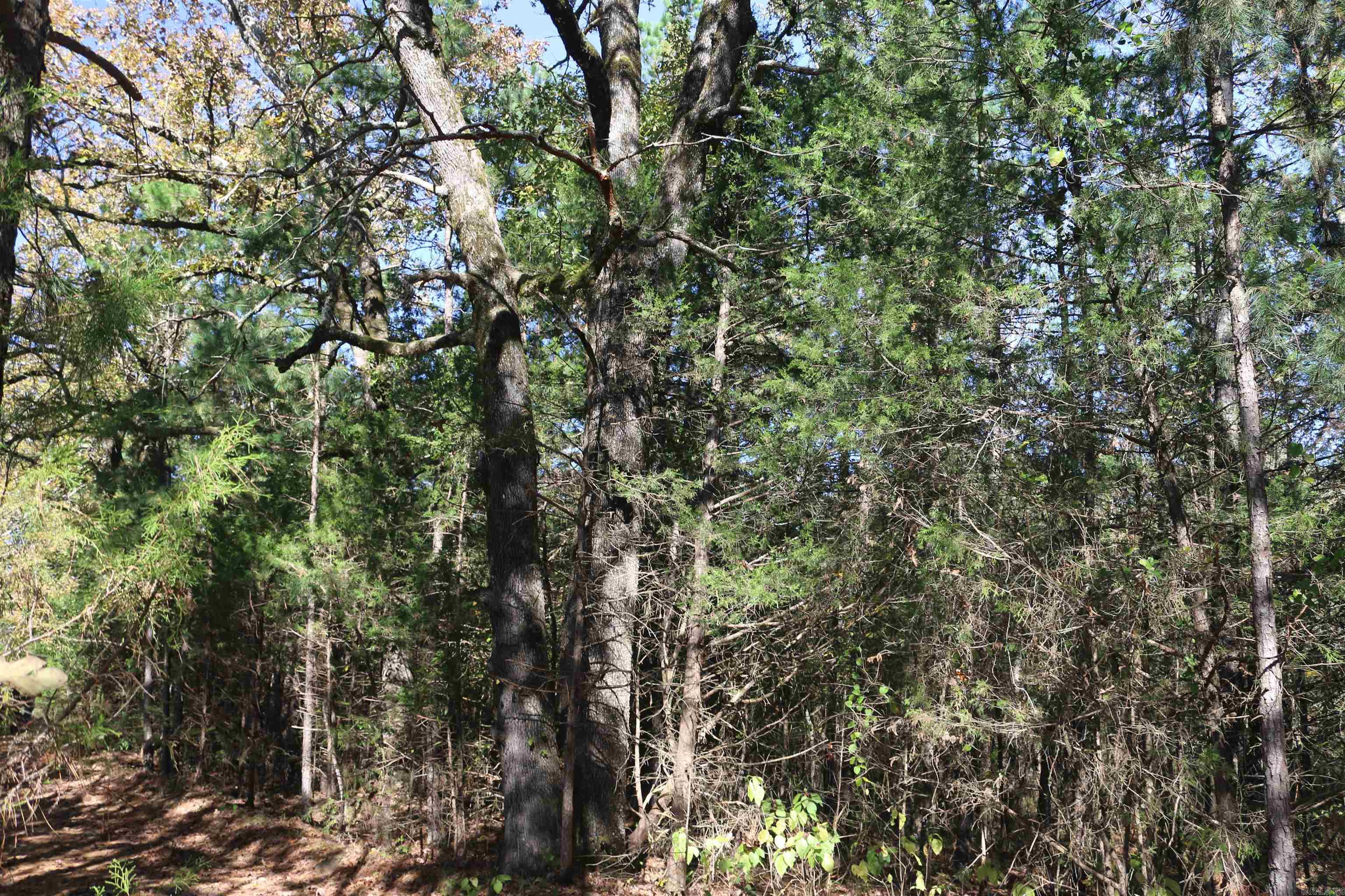 000 Bell Lane  Boles, AR