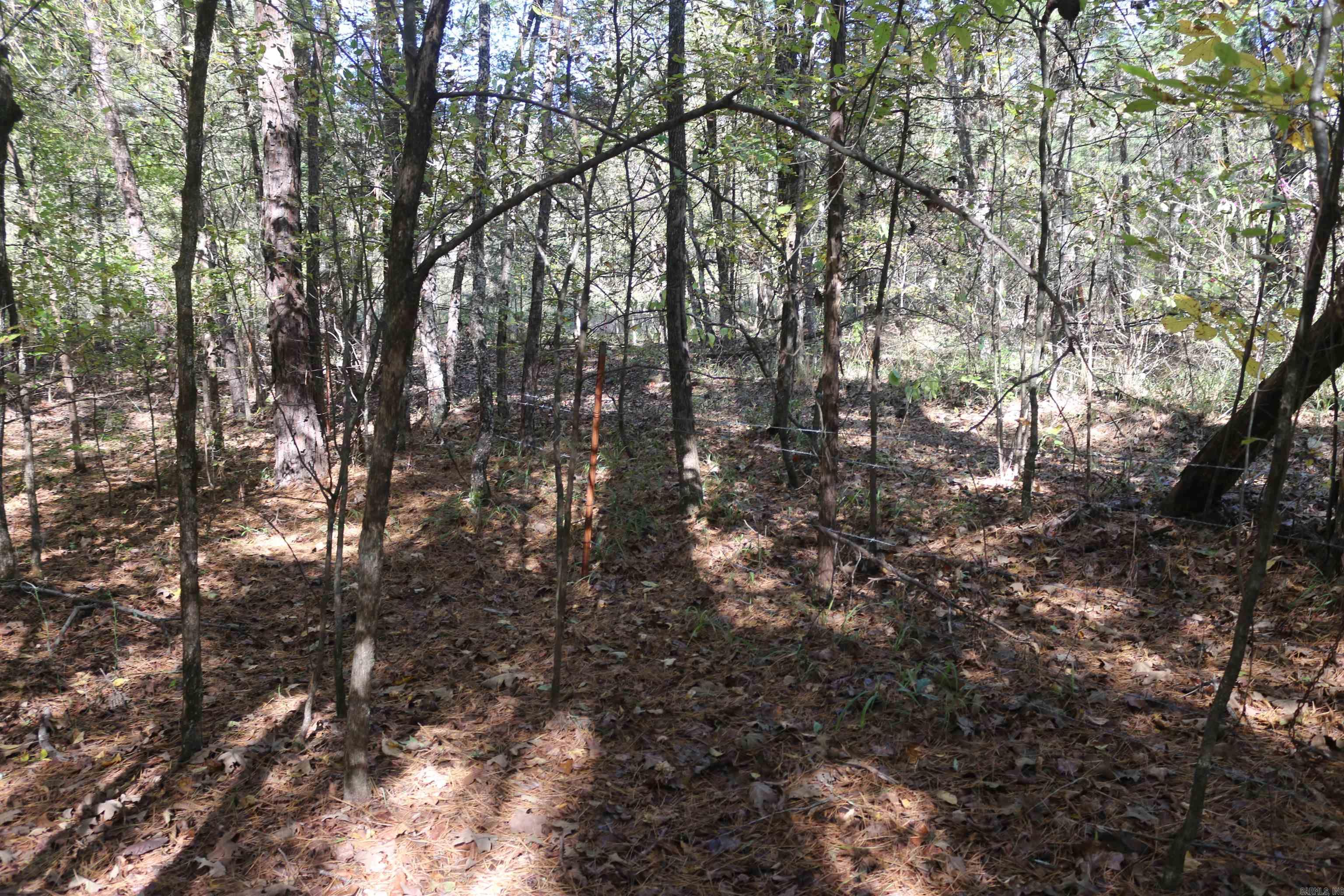 000 Bell Lane  Boles, AR