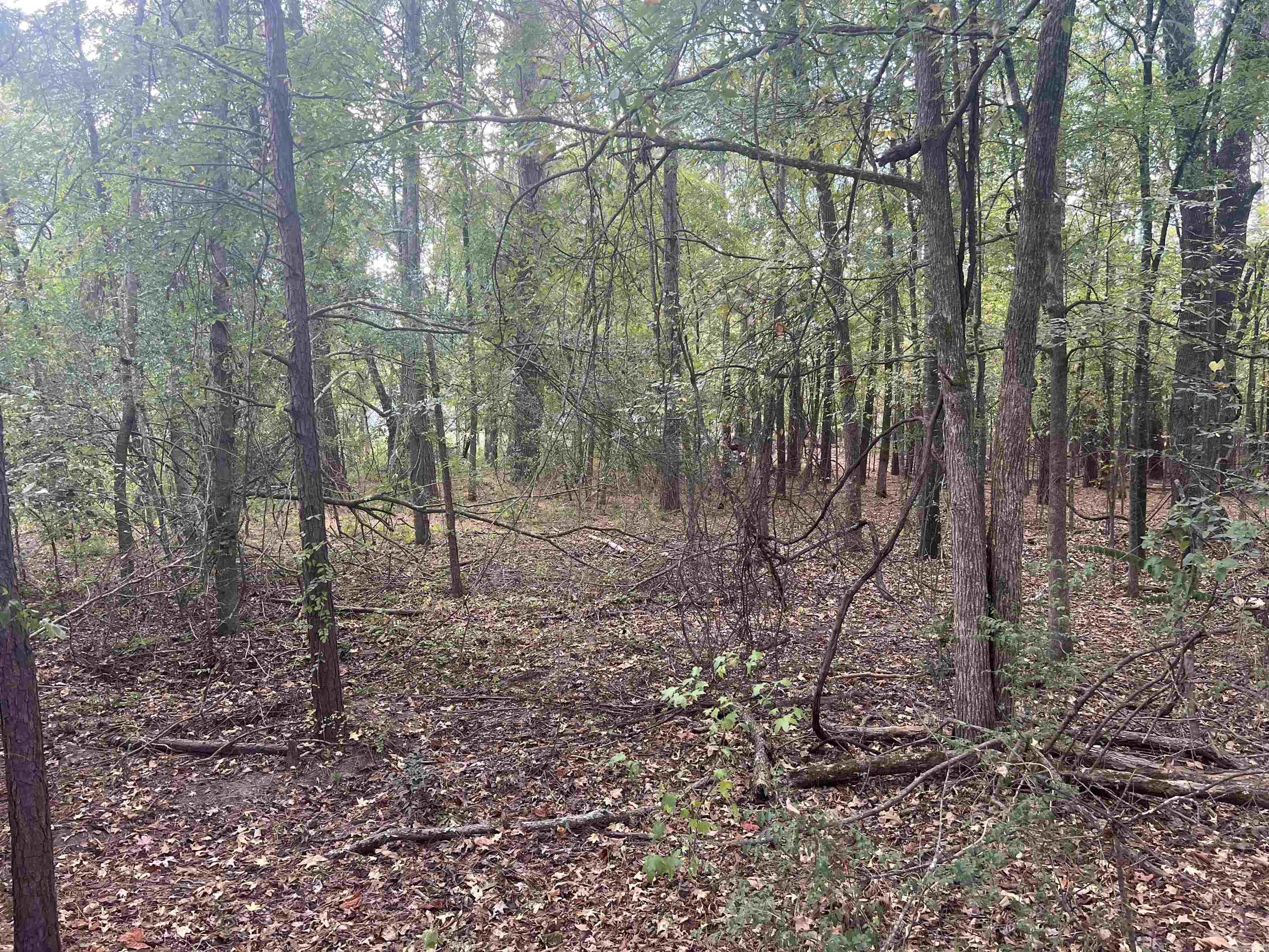 00 Middle Warren Rd  Pine Bluff, AR