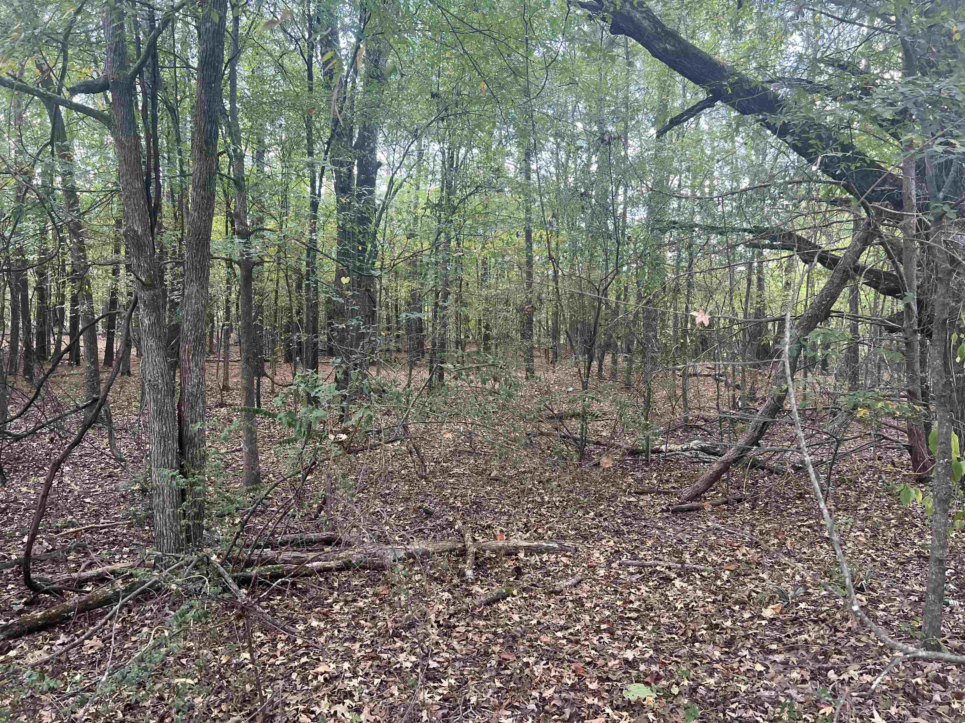 00 Middle Warren Rd  Pine Bluff, AR