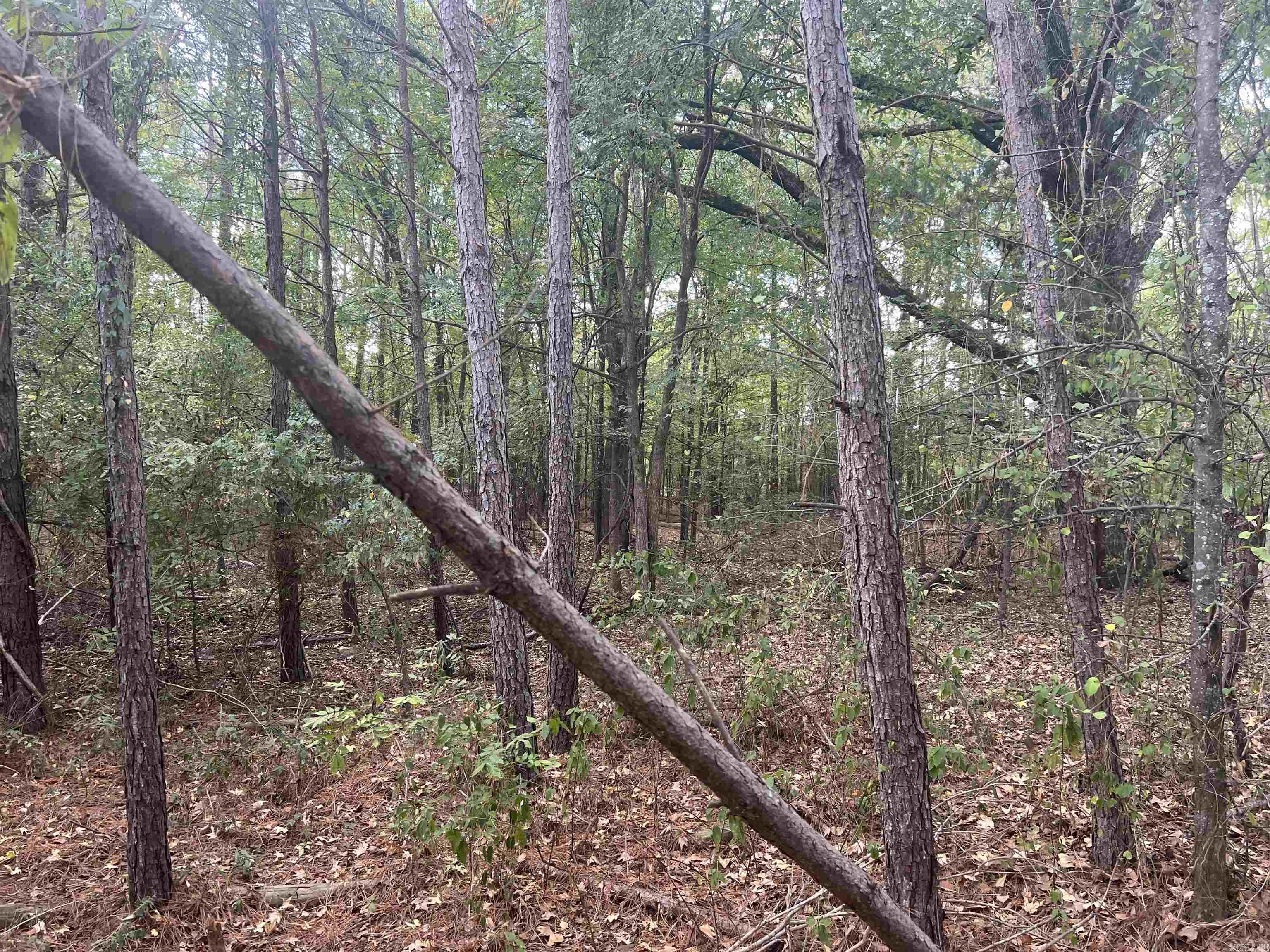 00 Middle Warren Rd  Pine Bluff, AR