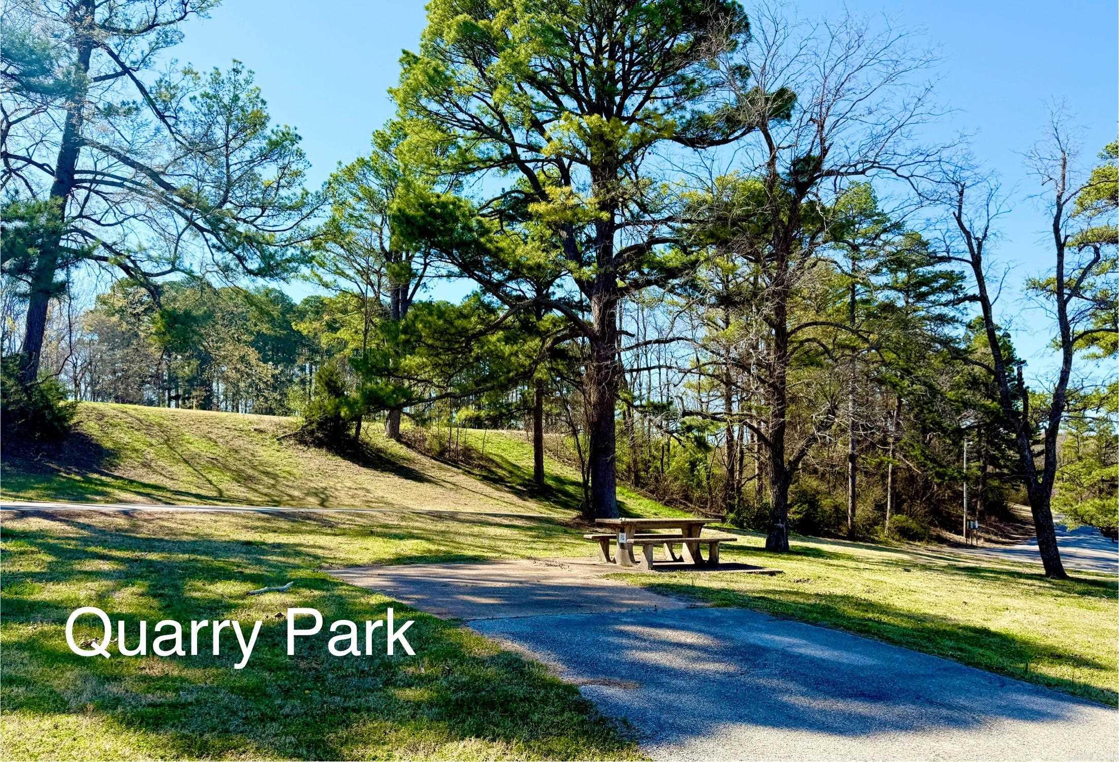 010-01589-000 Canmore Drive  Mountain Home, AR