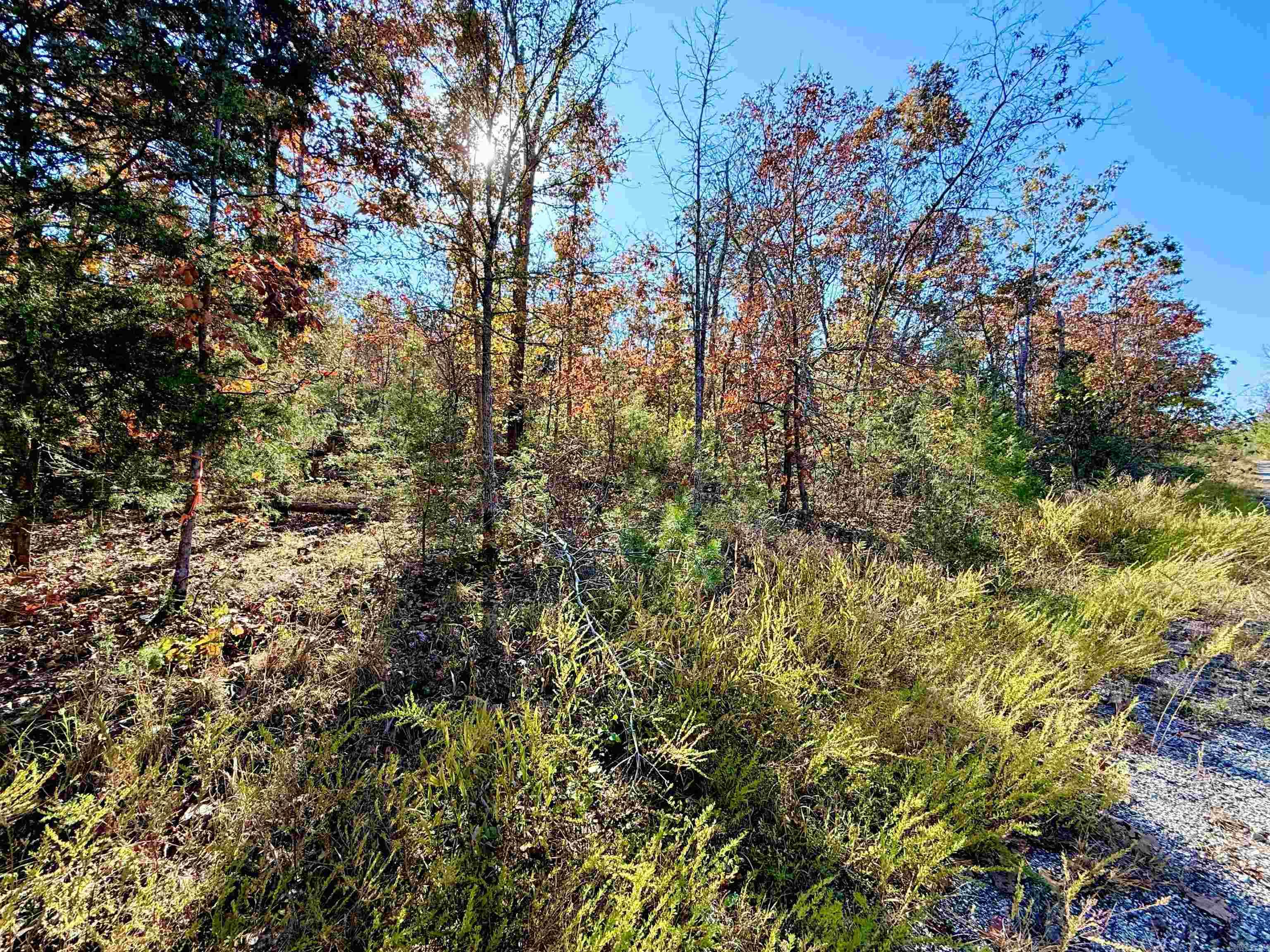 010-01589-000 Canmore Drive  Mountain Home, AR