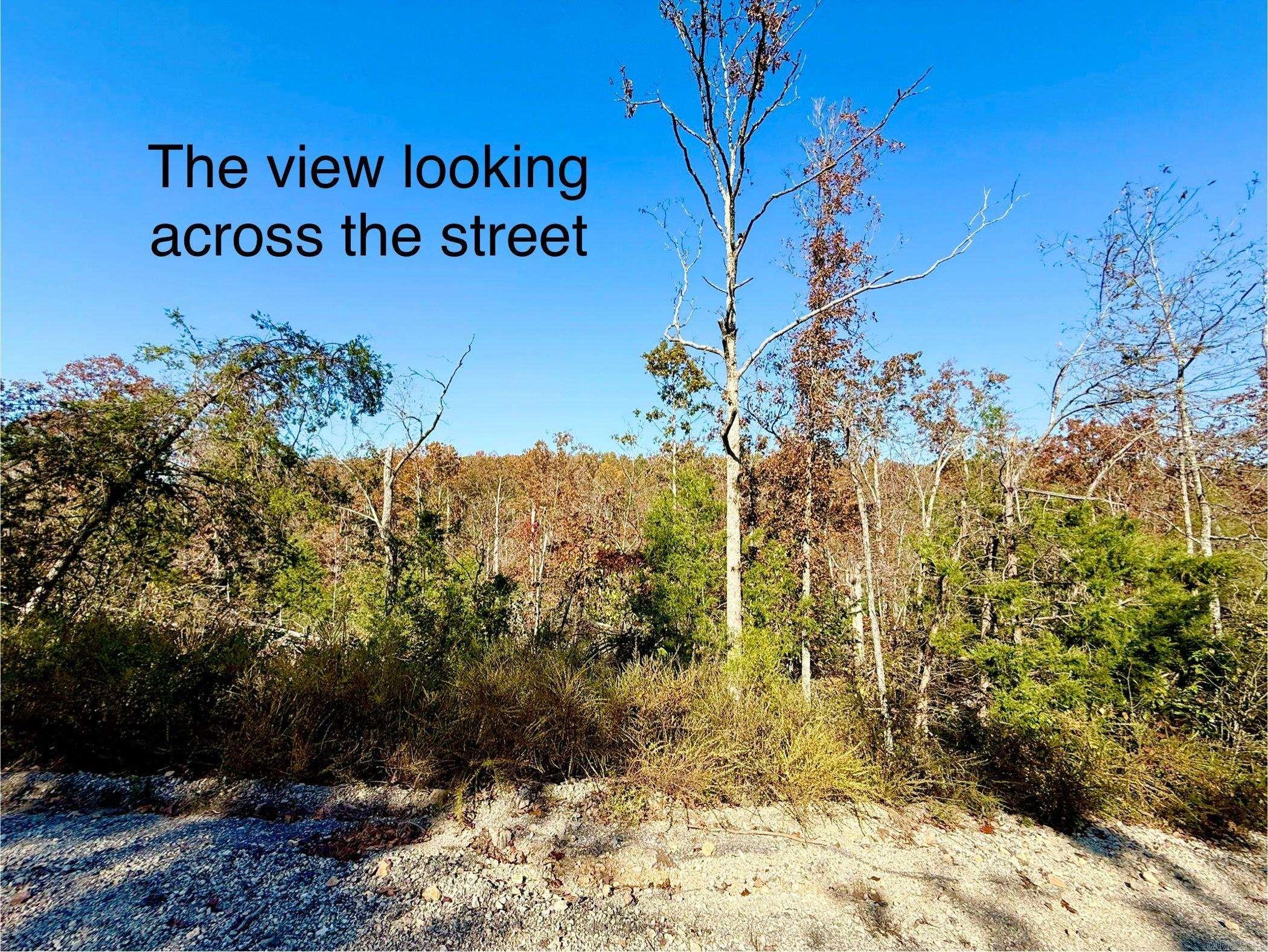 010-01589-000 Canmore Drive  Mountain Home, AR