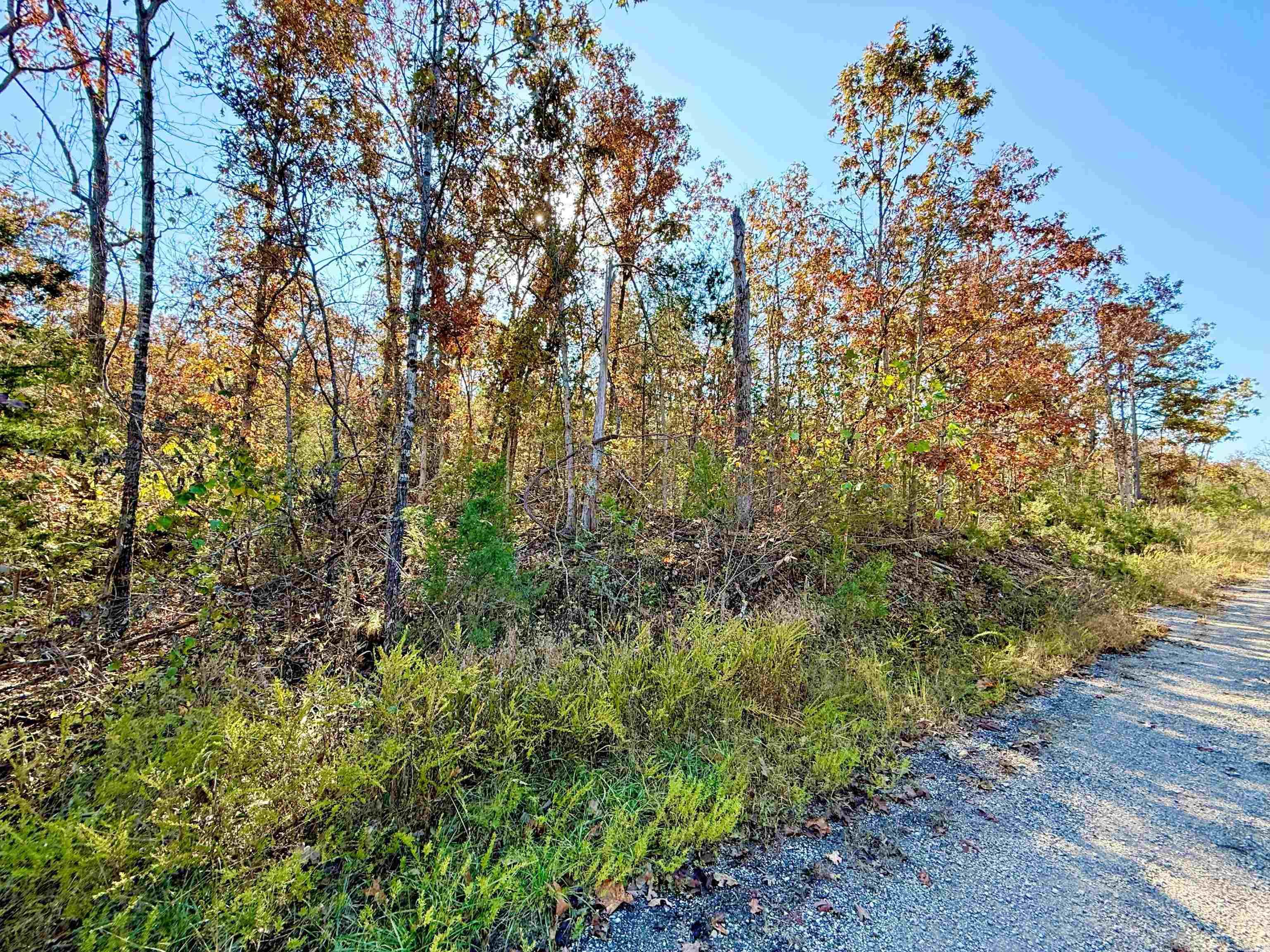 010-01589-000 Canmore Drive  Mountain Home, AR