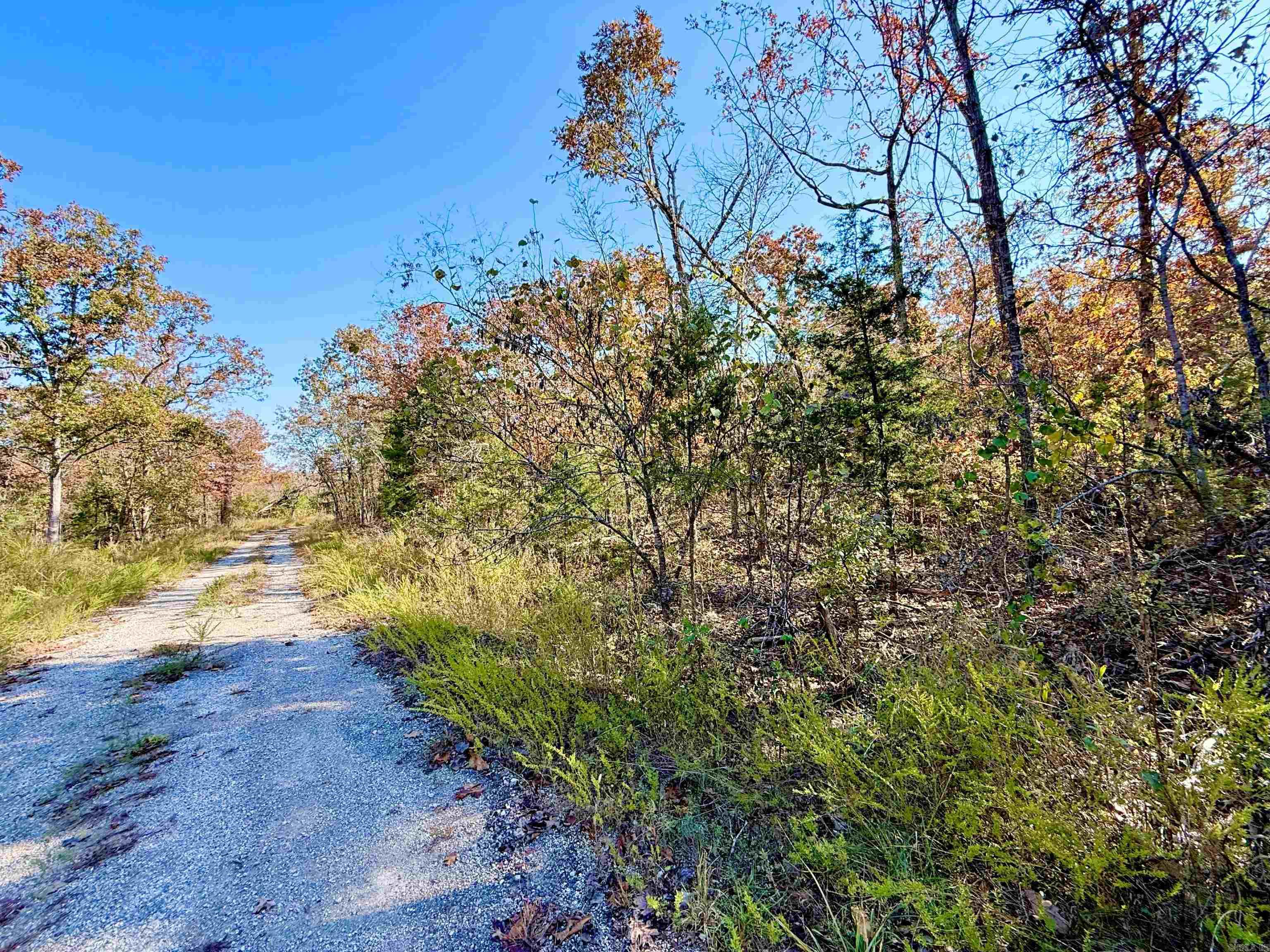 010-01589-000 Canmore Drive  Mountain Home, AR