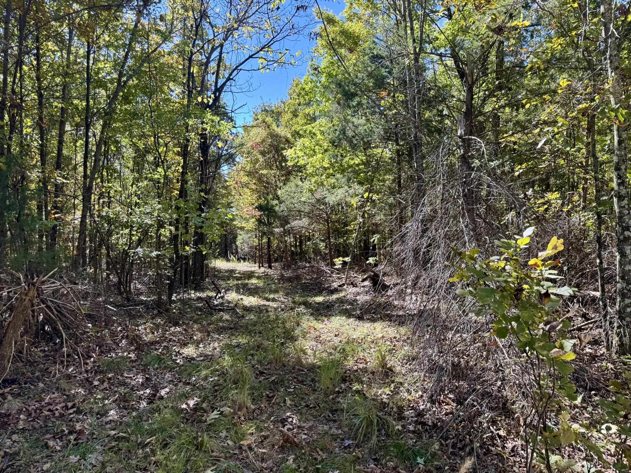 13.5A Highway 58  Sidney, AR