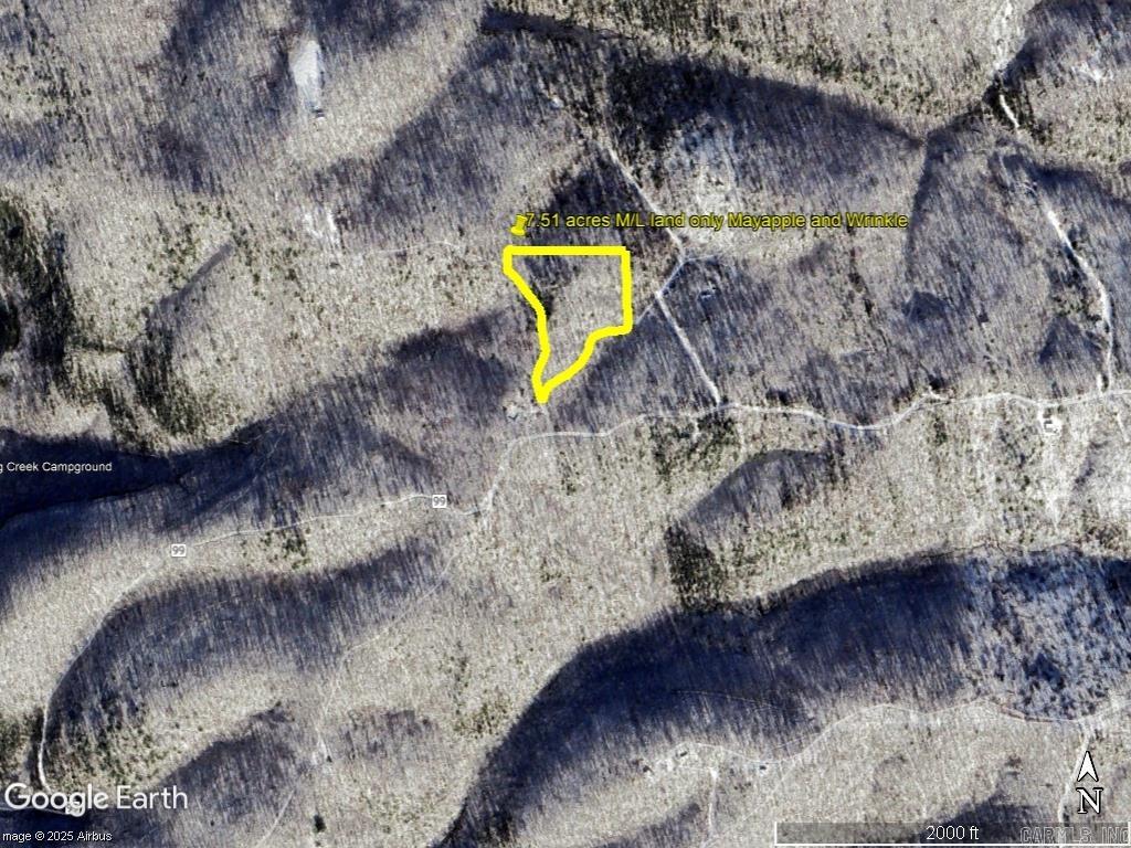 229 Mayapple Road Harriet, AR 72639