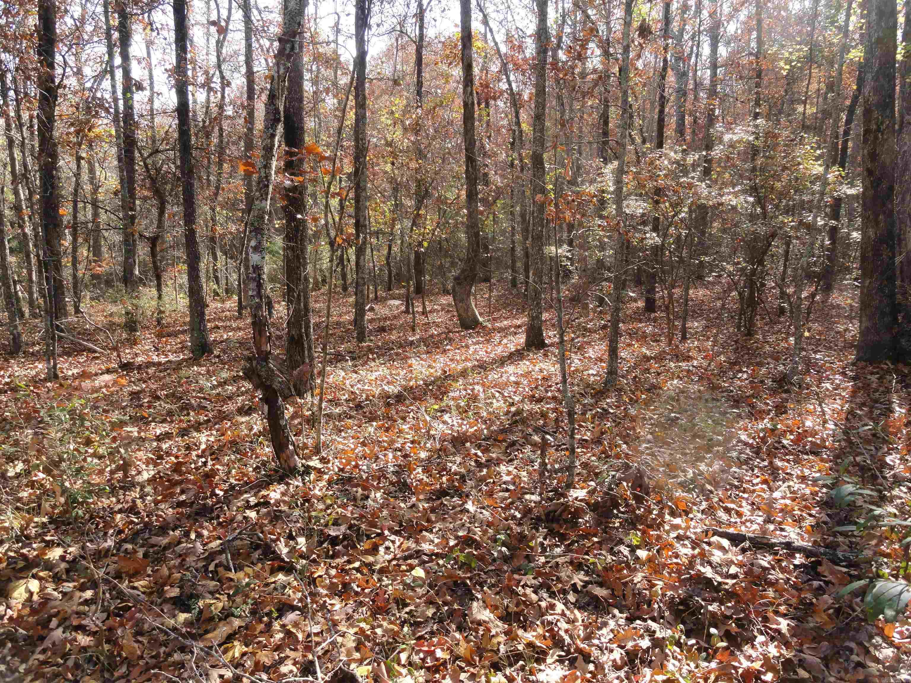 229 Mayapple Road Harriet, AR 72639