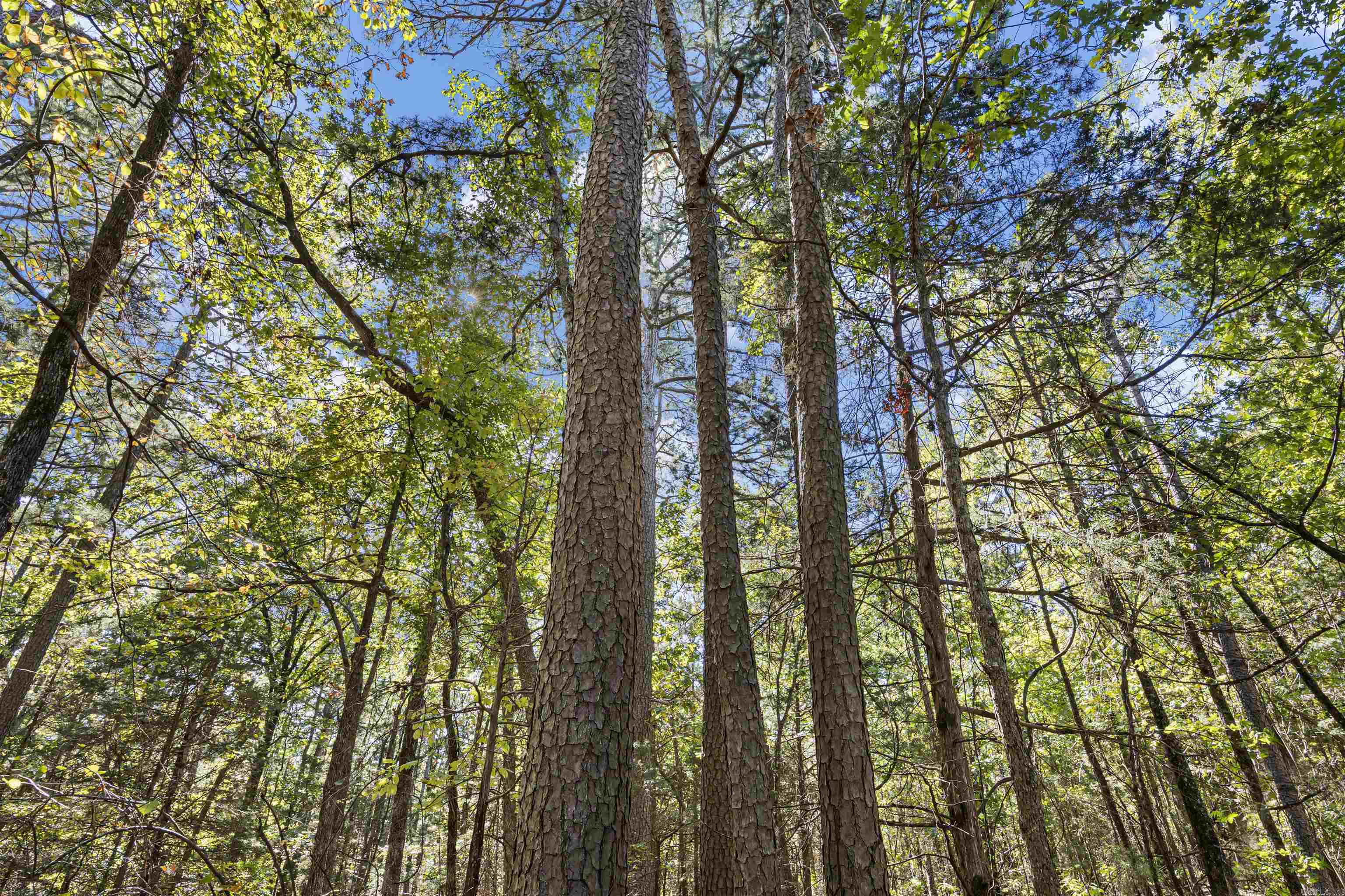 000 County Rd 4200  Clarksville, AR