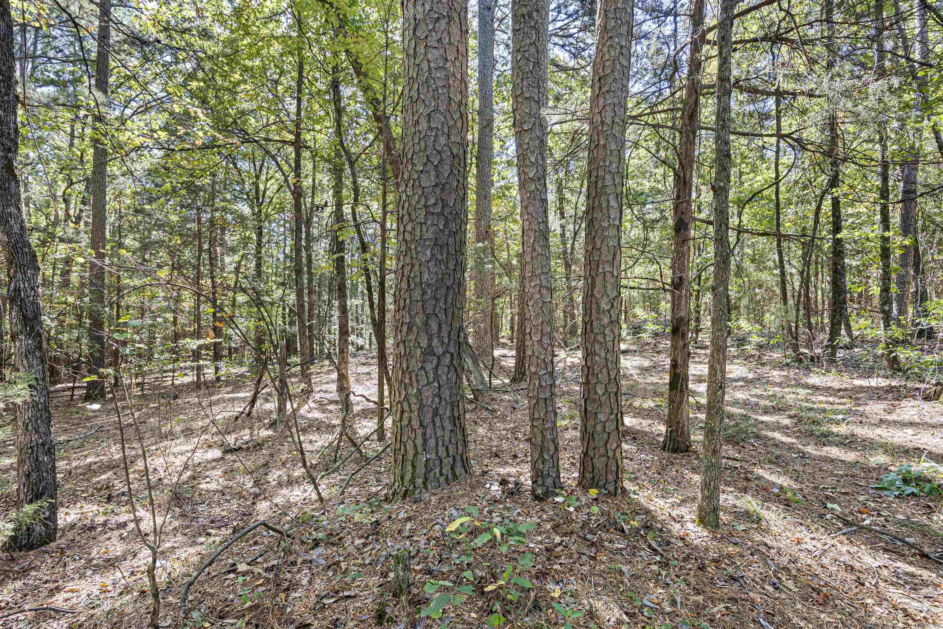 000 County Rd 4200  Clarksville, AR