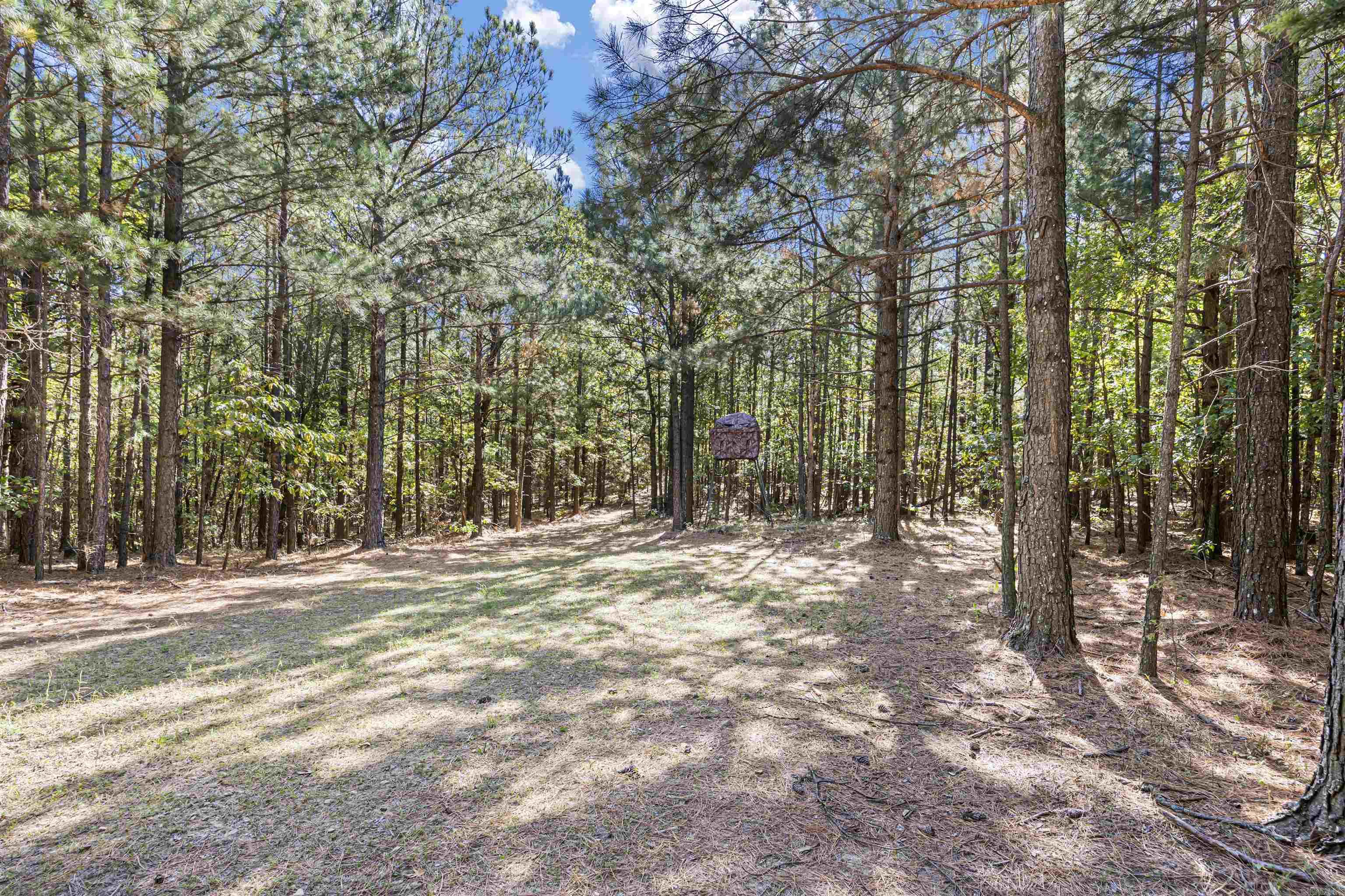 000 County Rd 4200  Clarksville, AR