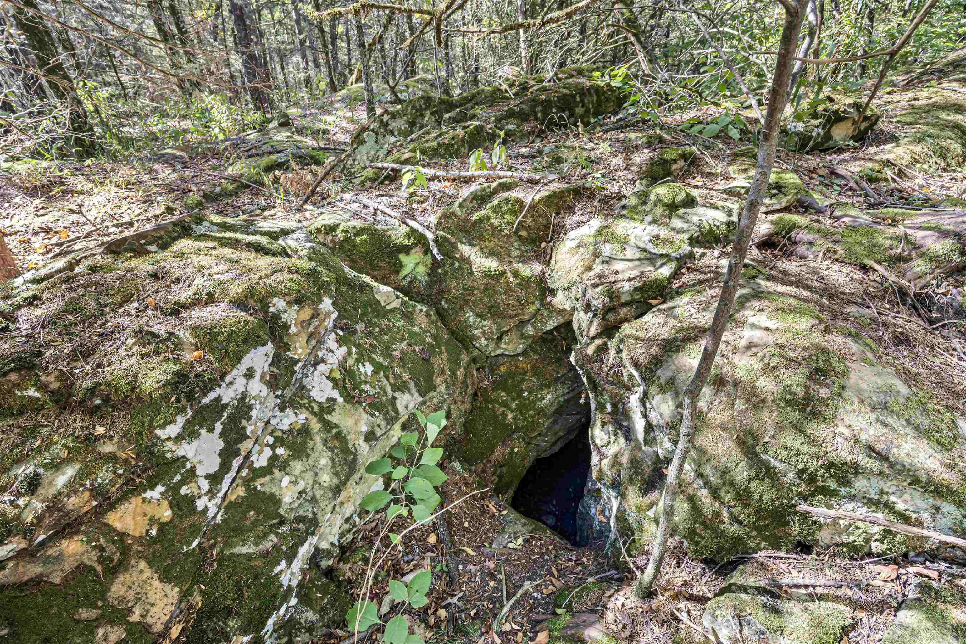 000 County Rd 4200  Clarksville, AR