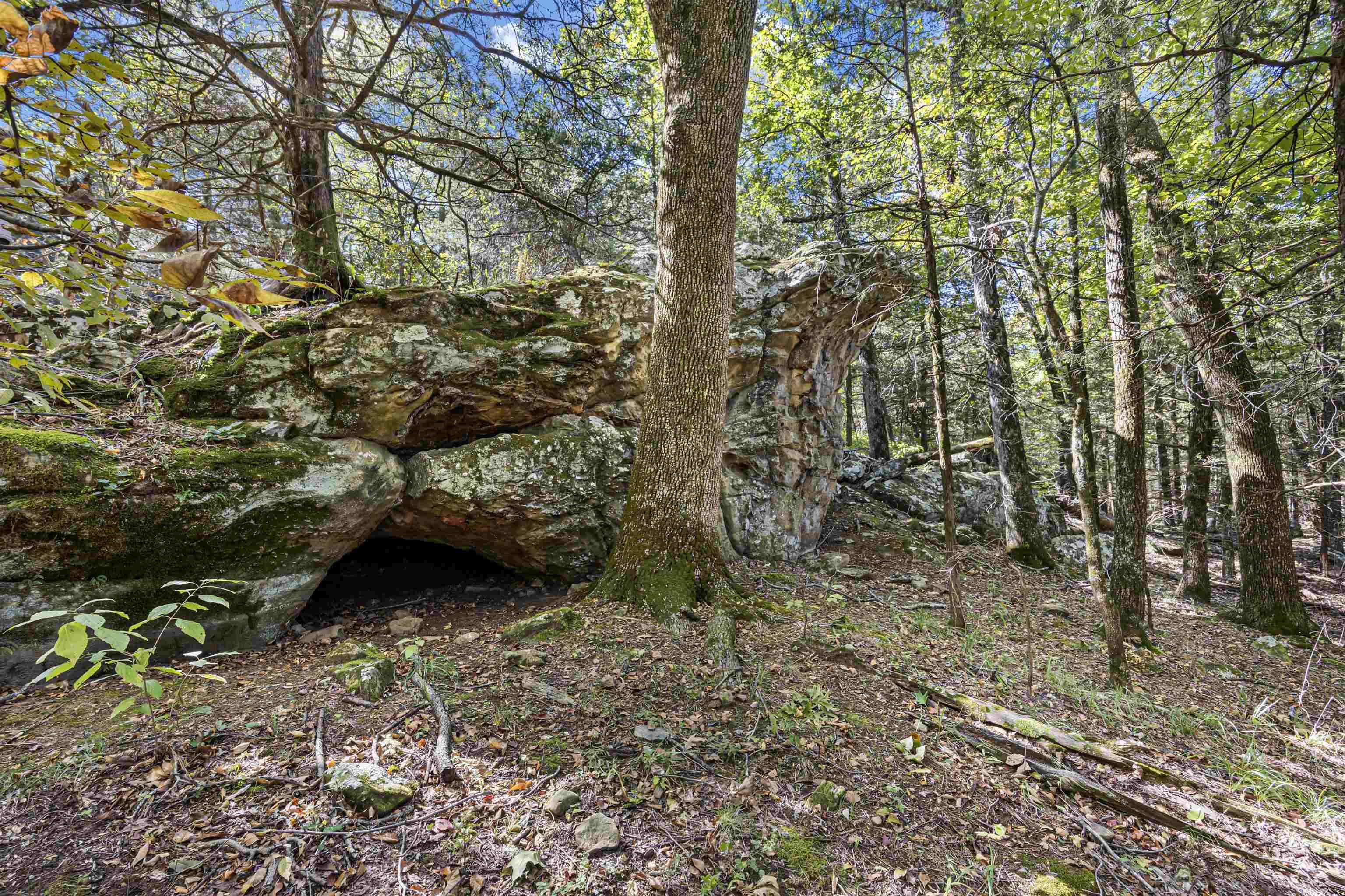 000 County Rd 4200  Clarksville, AR