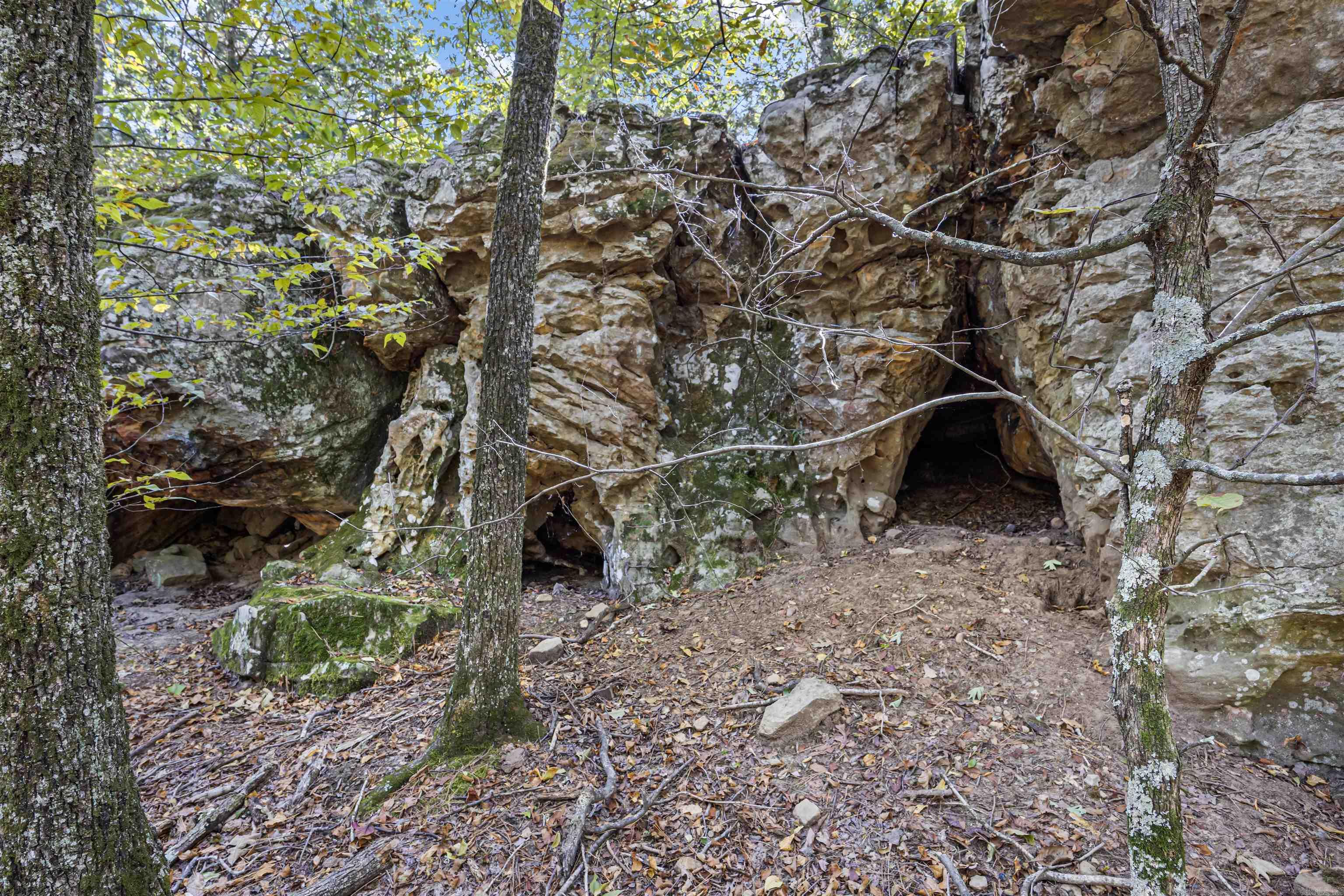 000 County Rd 4200  Clarksville, AR