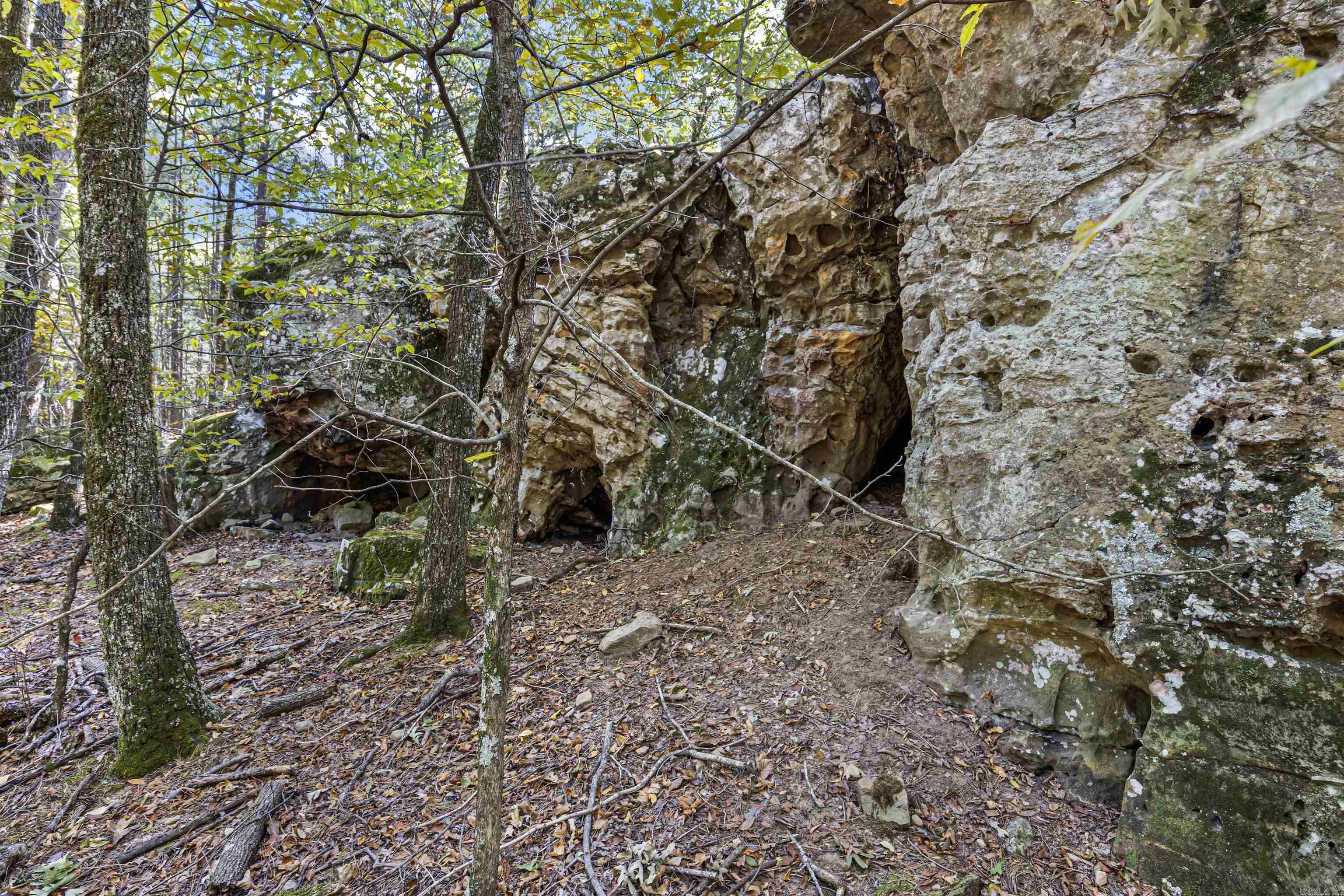 000 County Rd 4200  Clarksville, AR