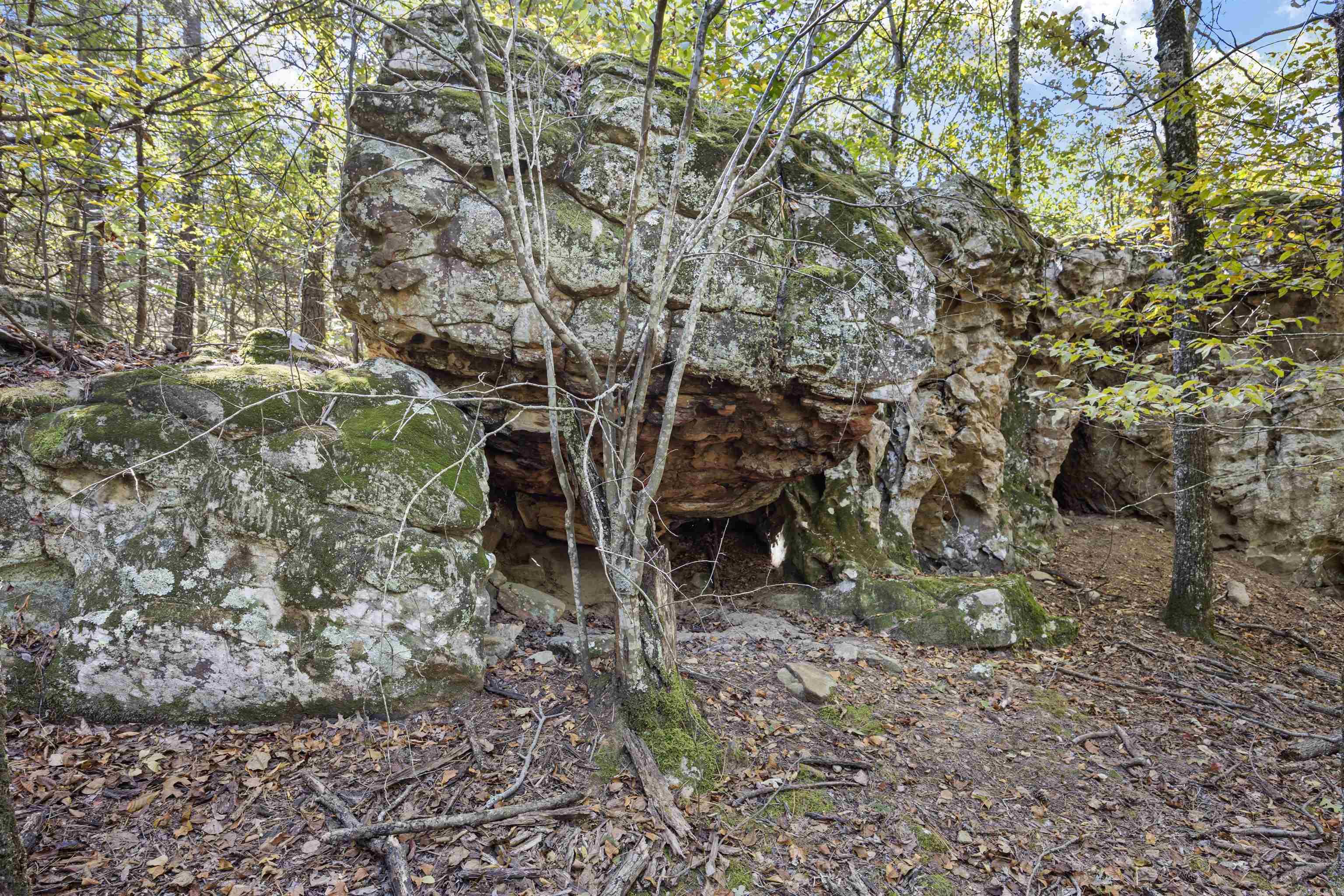 000 County Rd 4200  Clarksville, AR