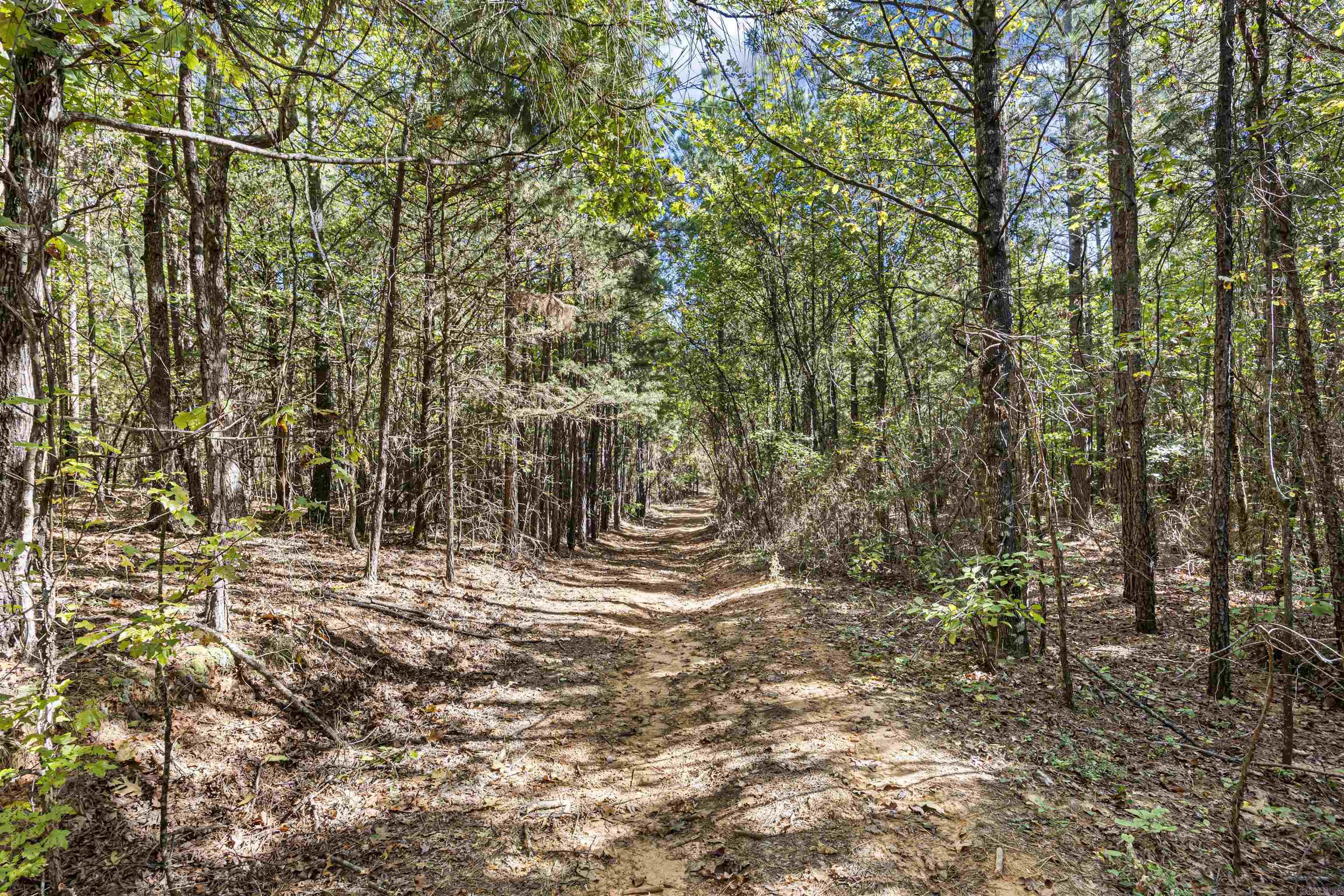 000 County Rd 4200  Clarksville, AR