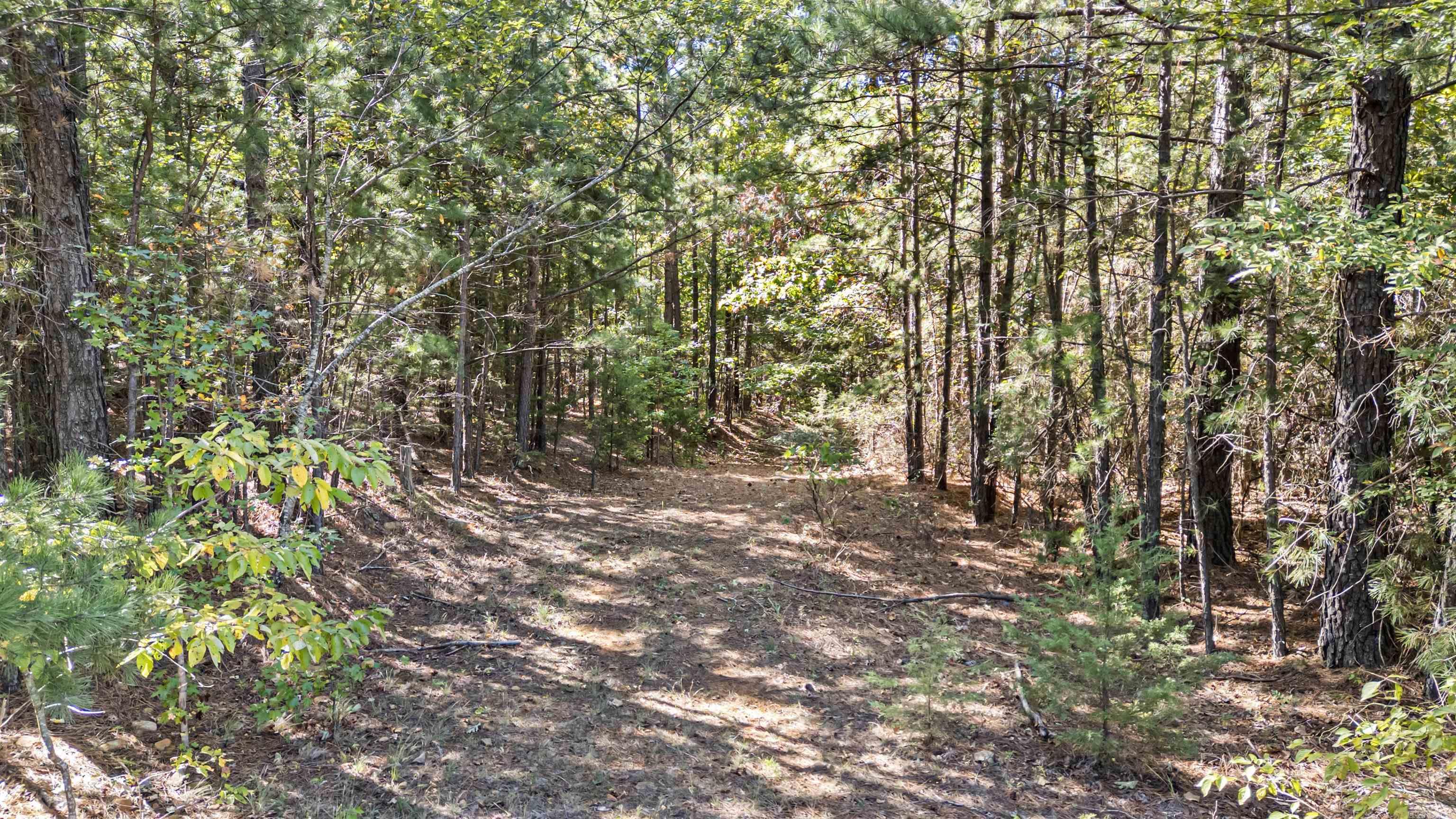 000 County Rd 4200  Clarksville, AR