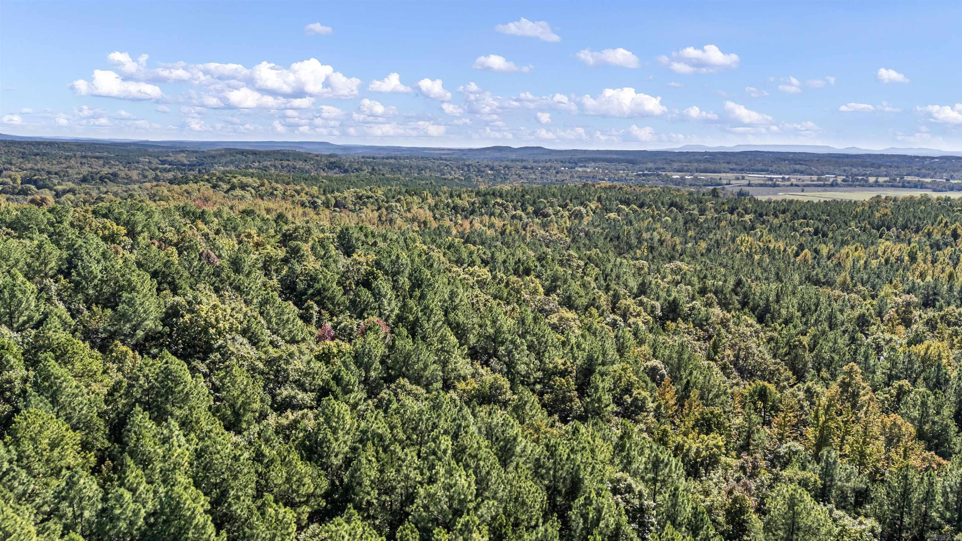 000 County Rd 4200  Clarksville, AR