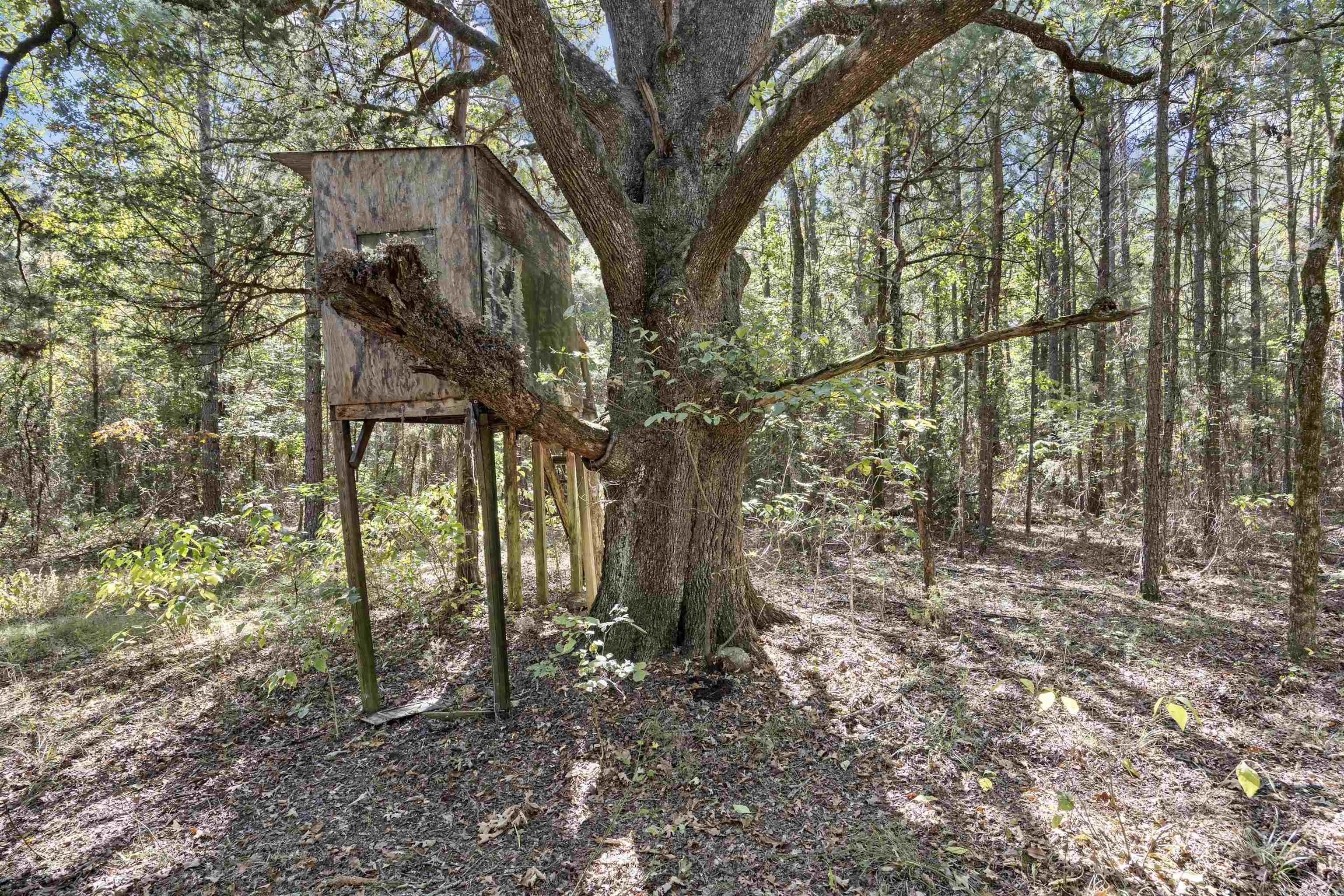 000 County Rd 4200  Clarksville, AR