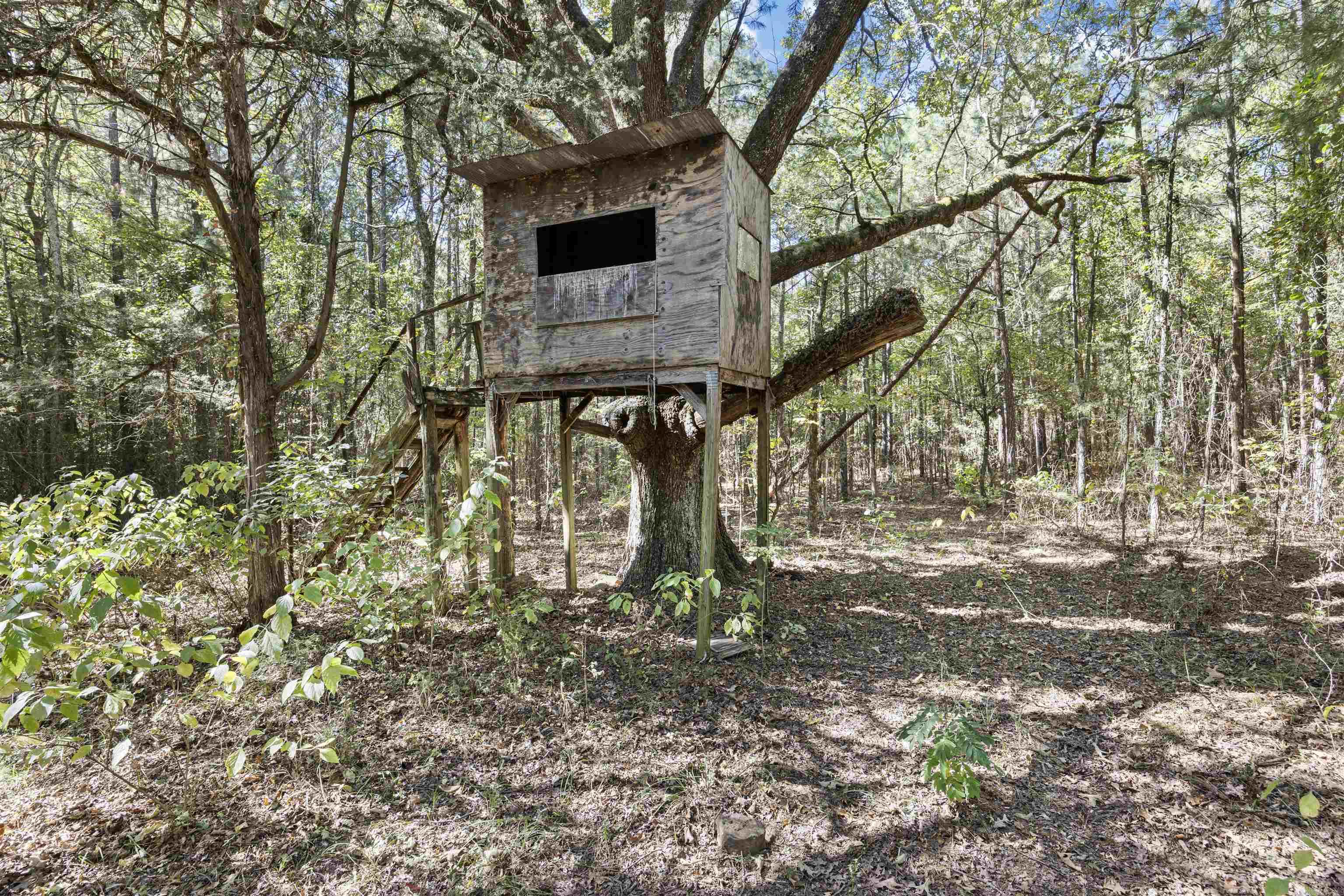 000 County Rd 4200  Clarksville, AR