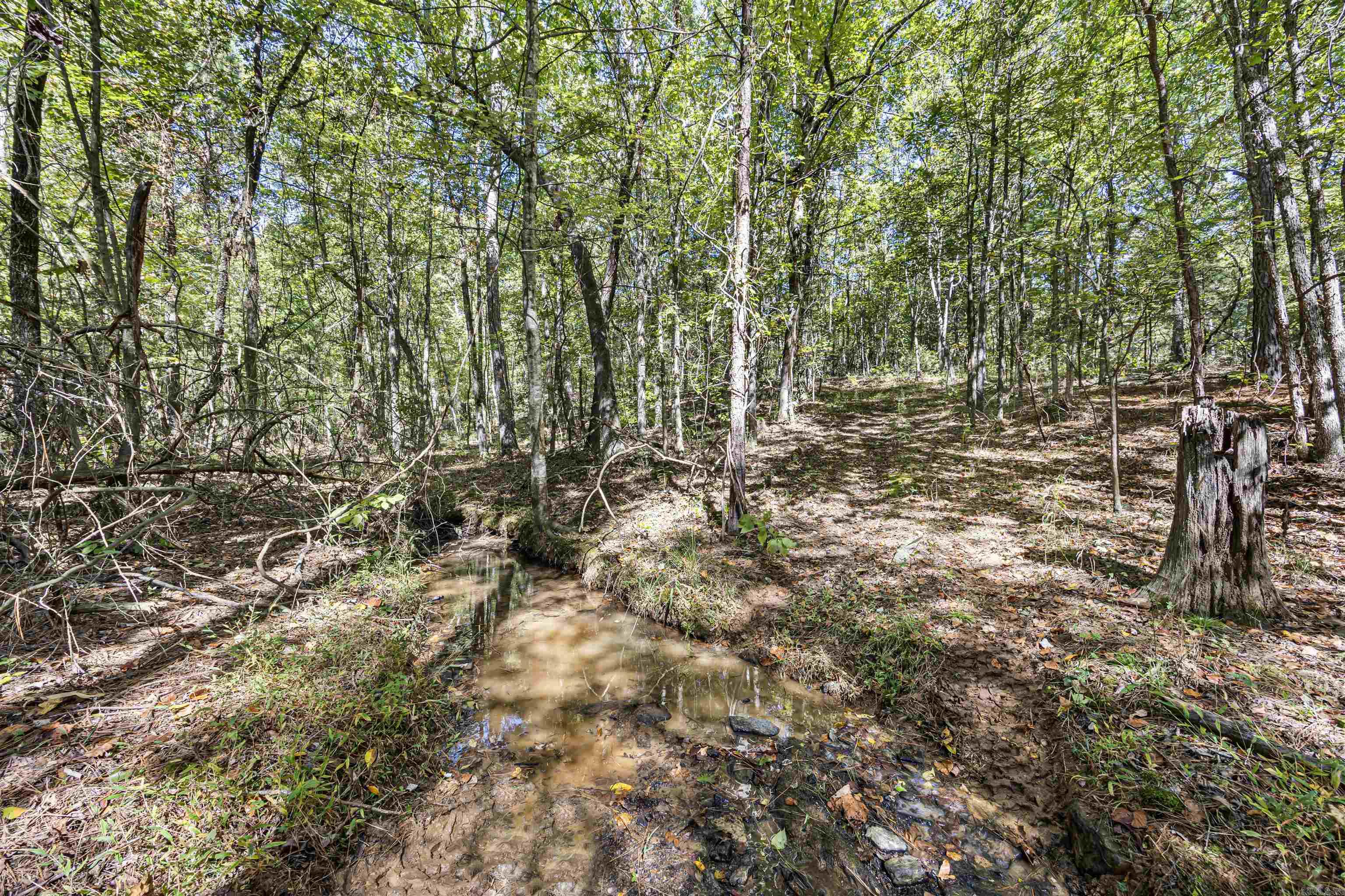 000 County Rd 4200  Clarksville, AR