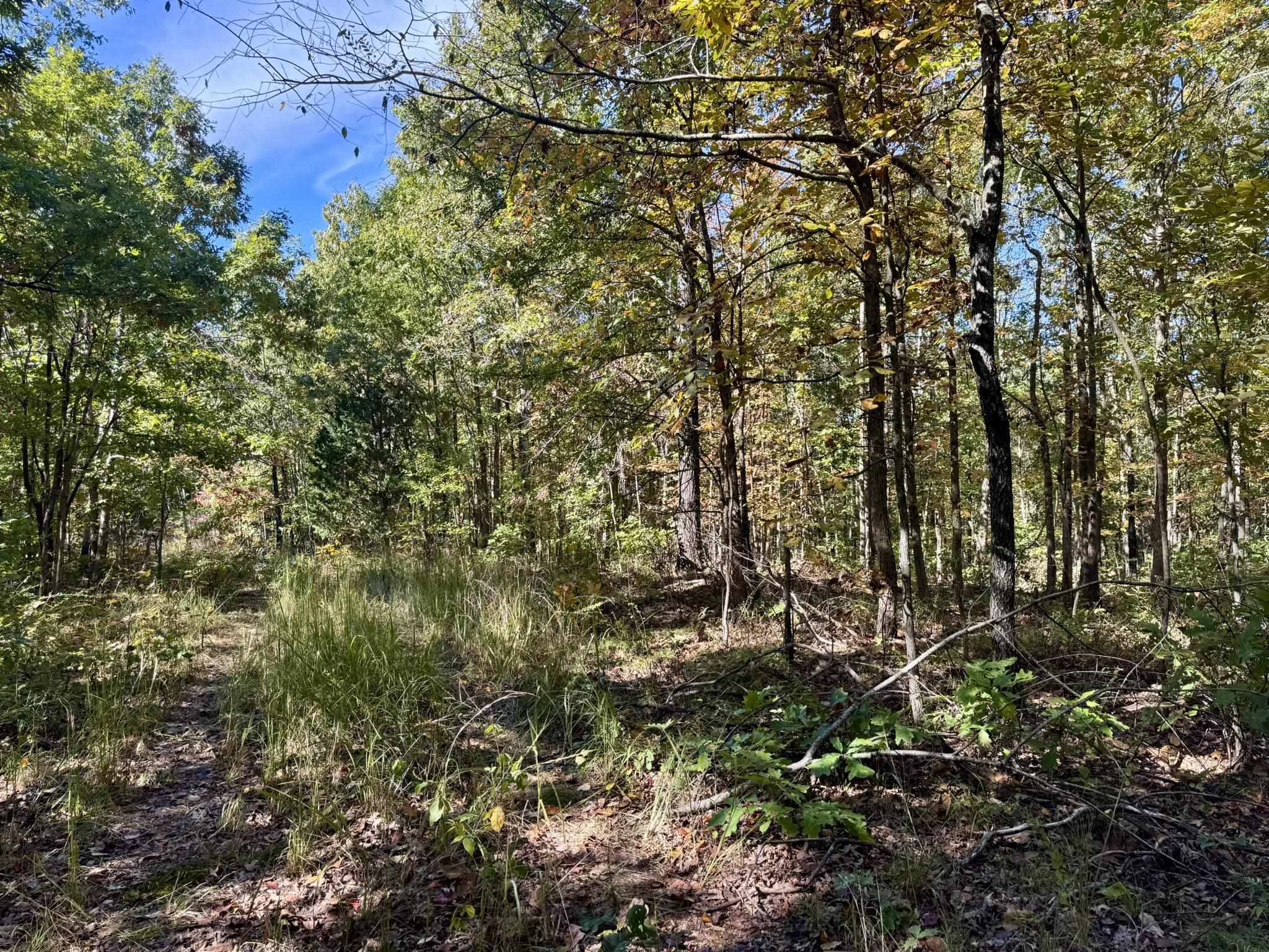 14A Highway 58  Sidney, AR