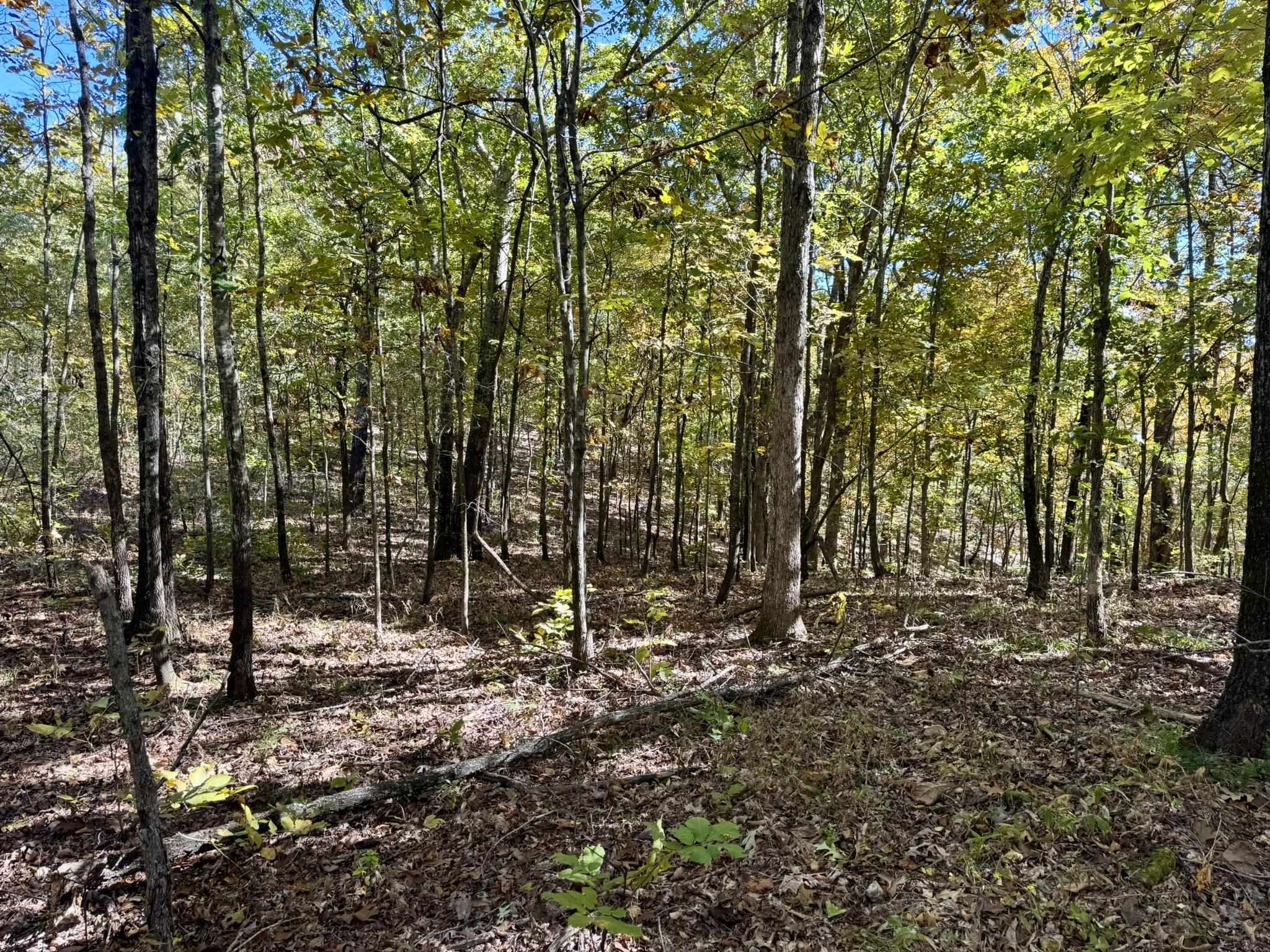 14A Highway 58  Sidney, AR