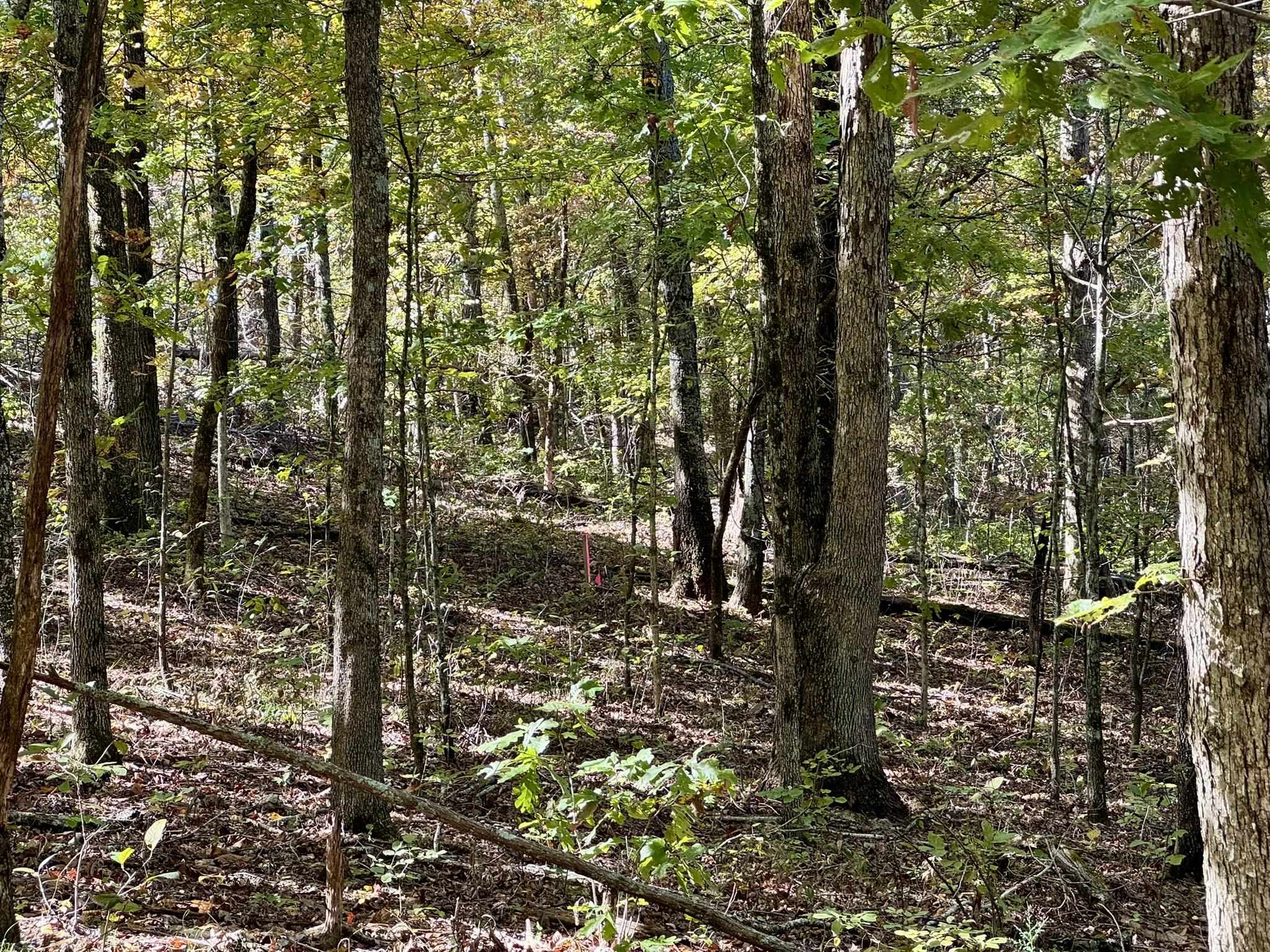 14A Highway 58  Sidney, AR