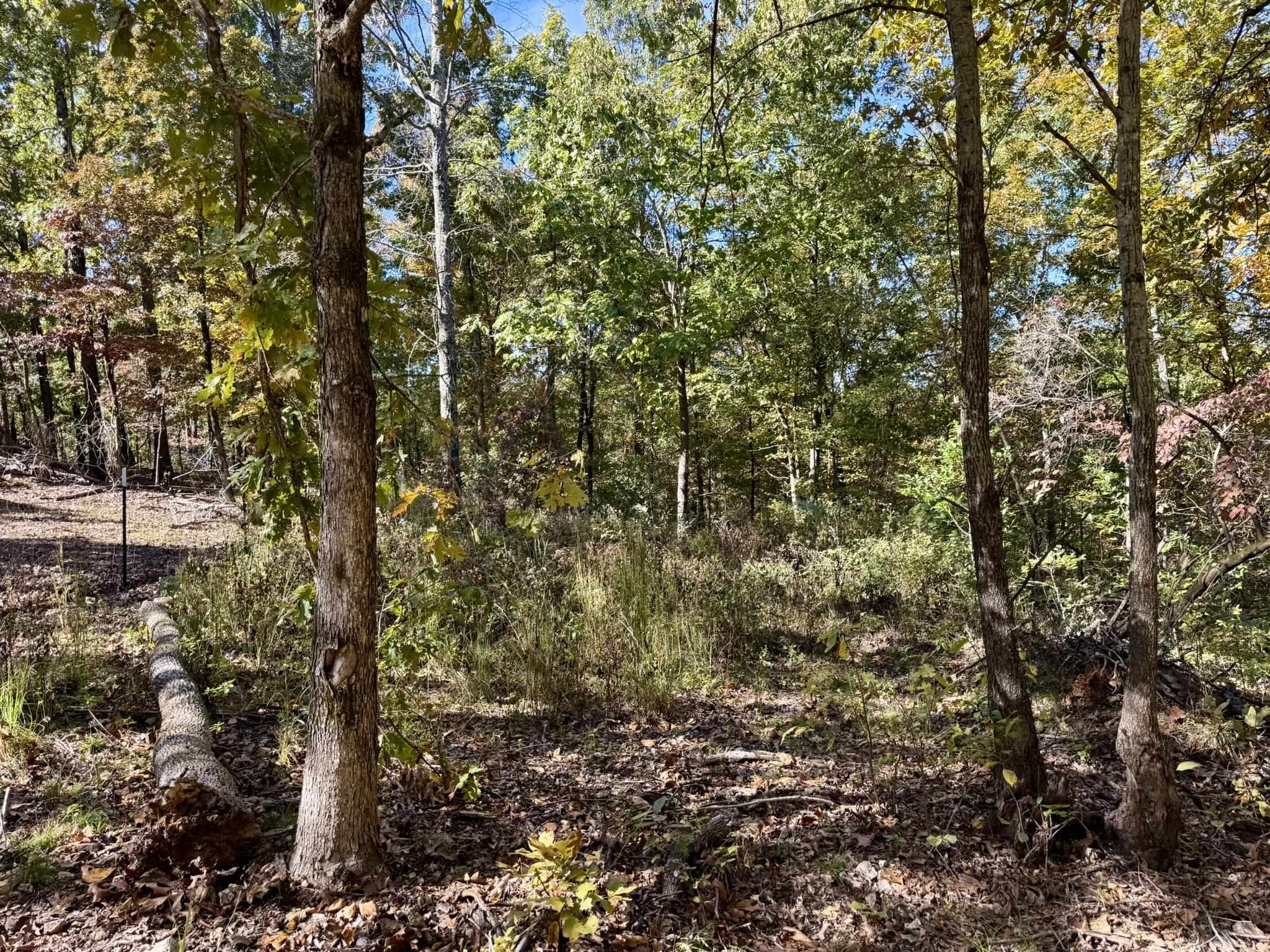 14A Highway 58  Sidney, AR