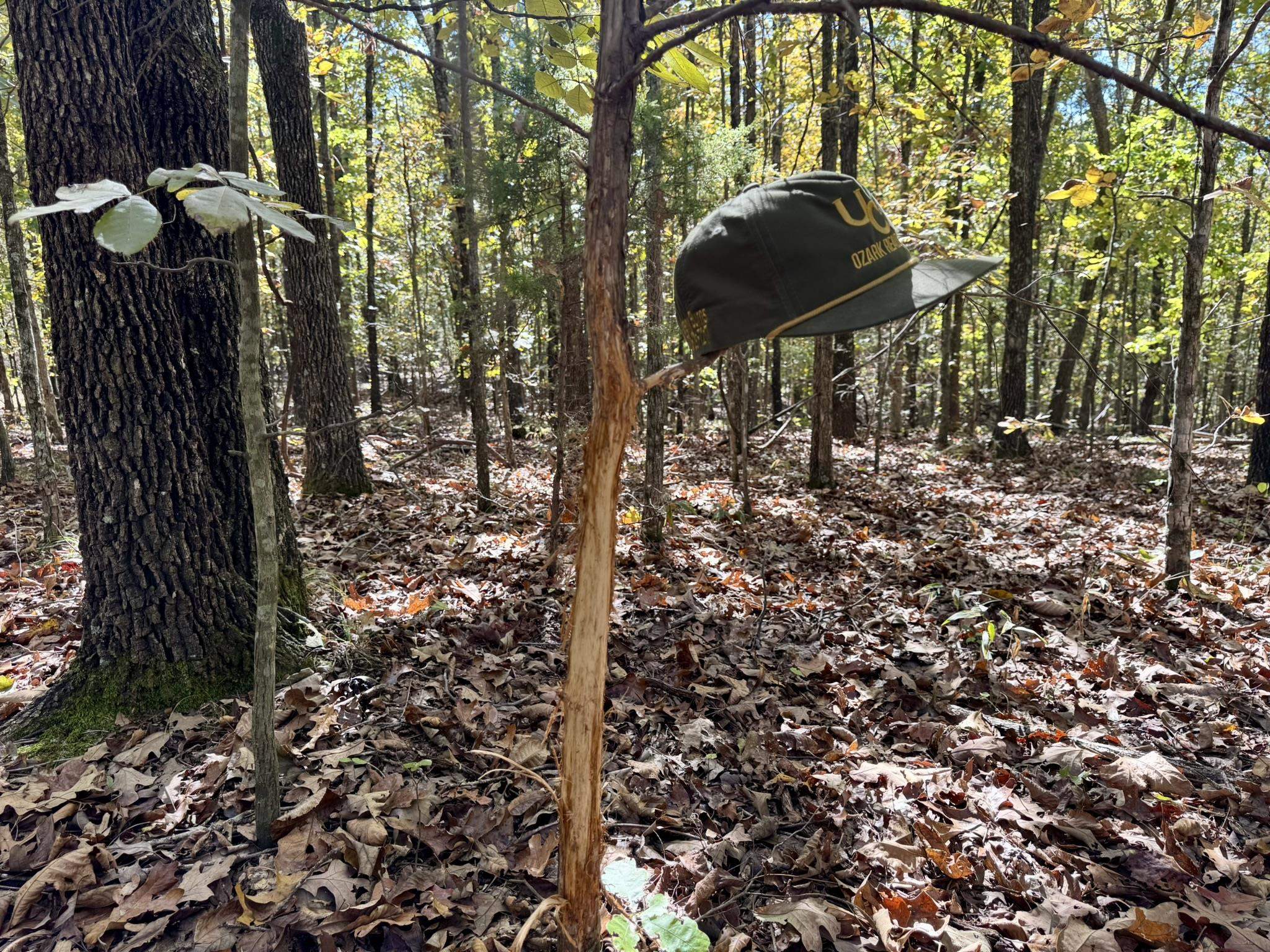 14A Highway 58  Sidney, AR